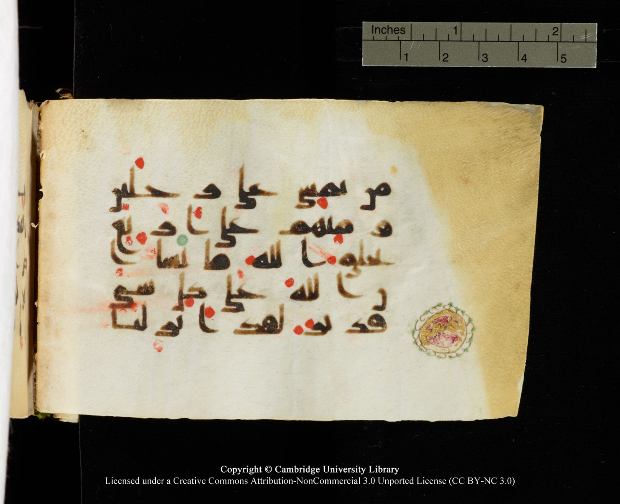 Cambridge University Library MS Add.1138 (Scan 1), in kūfī D.Va script, showing Surah 24:46 from 9th to 10th Century AD found in Sinai Peninsula, currently housed at Cambridge University Library, Cambridge