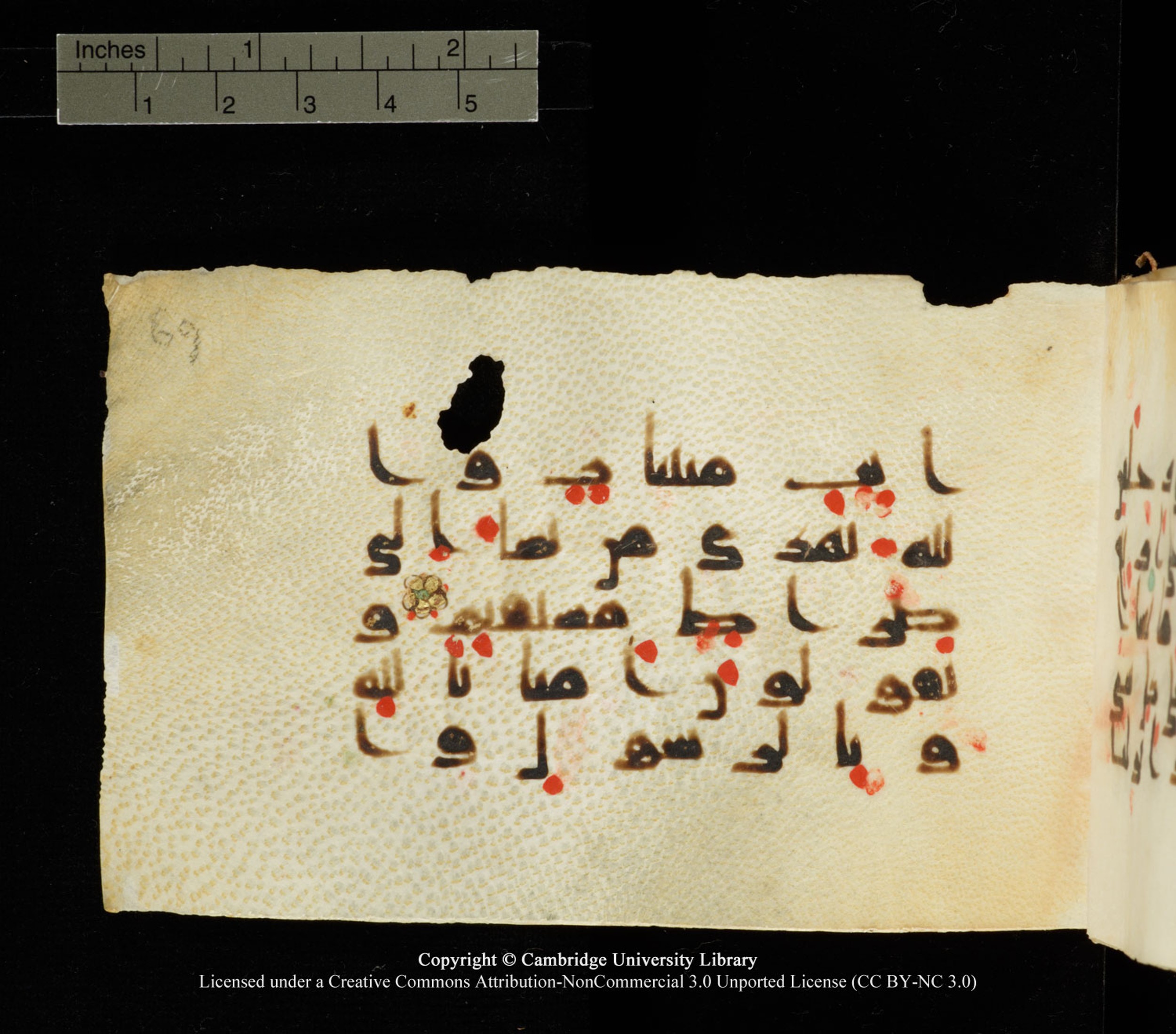 Cambridge University Library MS Add.1138 (Scan 1), in kūfī D.Va script, showing Surah 24:47 from 9th to 10th Century AD found in Sinai Peninsula, currently housed at Cambridge University Library, Cambridge