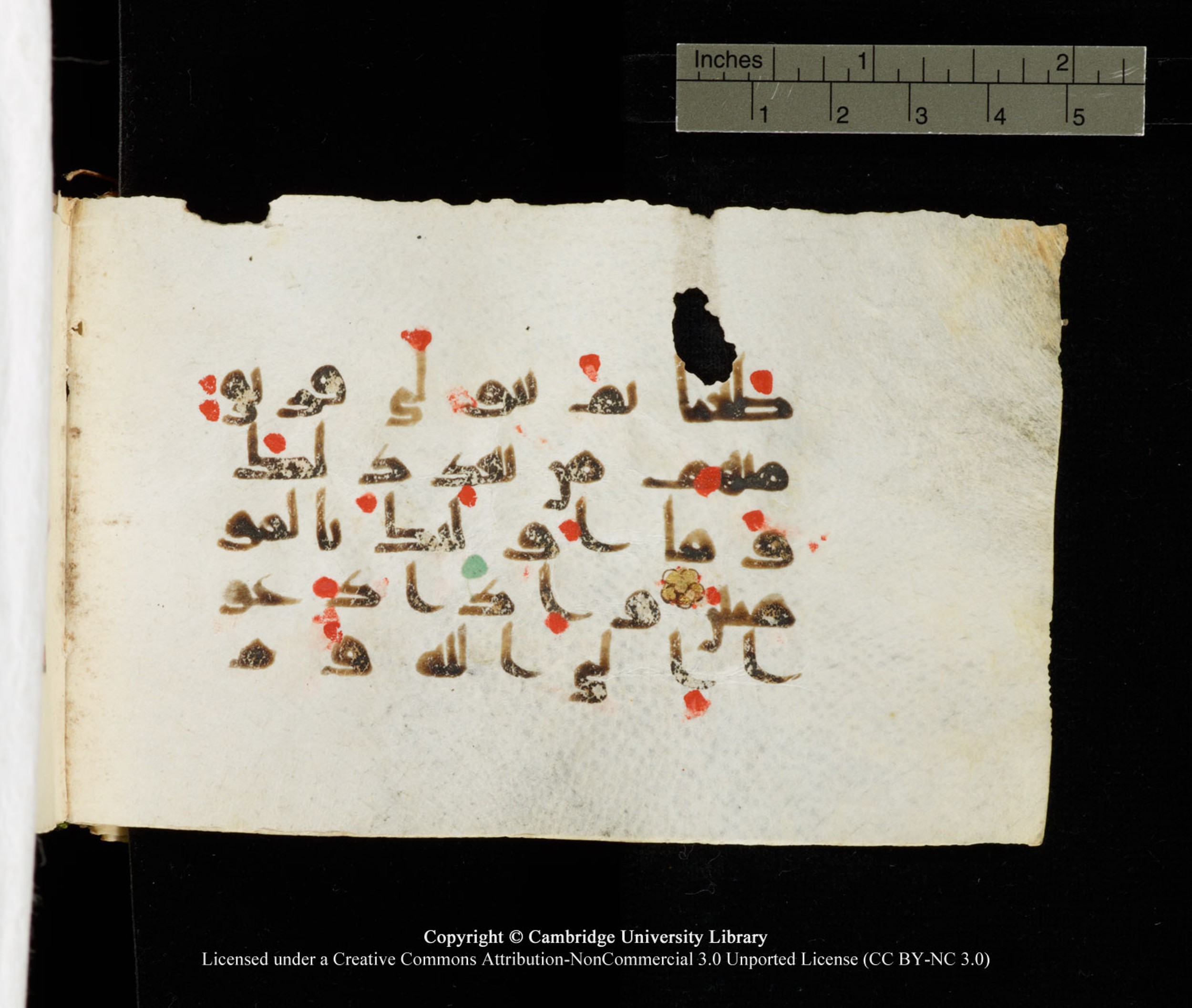 Cambridge University Library MS Add.1138 (Scan 1), in kūfī D.Va script, showing Surah 24:48 from 9th to 10th Century AD found in Sinai Peninsula, currently housed at Cambridge University Library, Cambridge