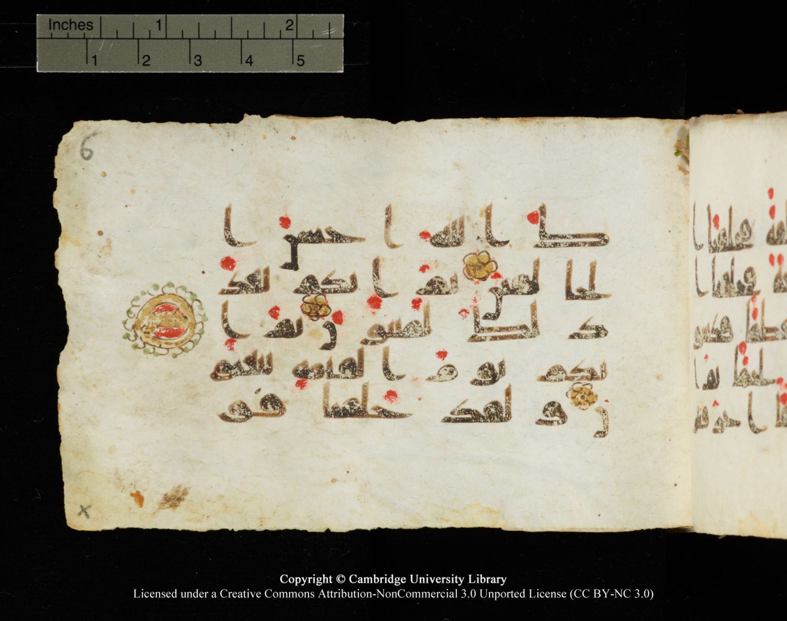 Cambridge University Library MS Add.1138, in kūfī D.Va script, showing Surah 23:16 from 9th to 10th Century AD found in Sinai Peninsula, currently housed at Cambridge University Library, Cambridge
