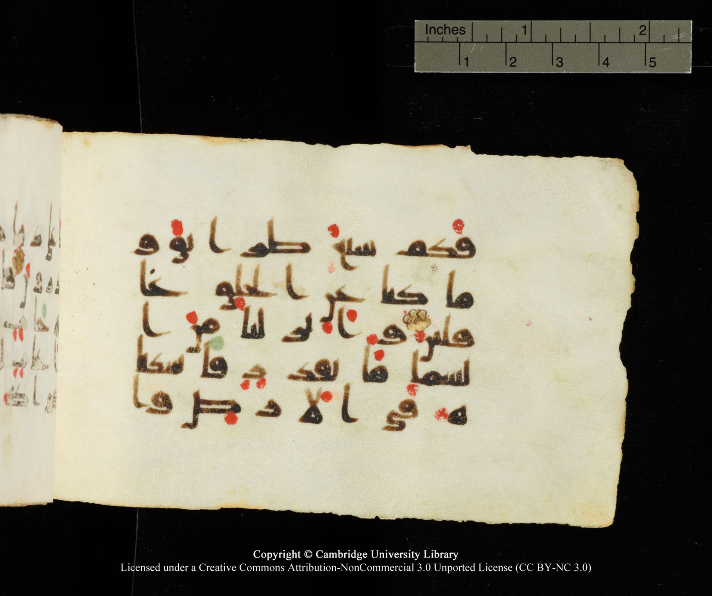 Cambridge University Library MS Add.1138 (Scan 2), in kūfī D.Va script, showing Surah 23:17 from 9th to 10th Century AD found in Sinai Peninsula, currently housed at Cambridge University Library, Cambridge