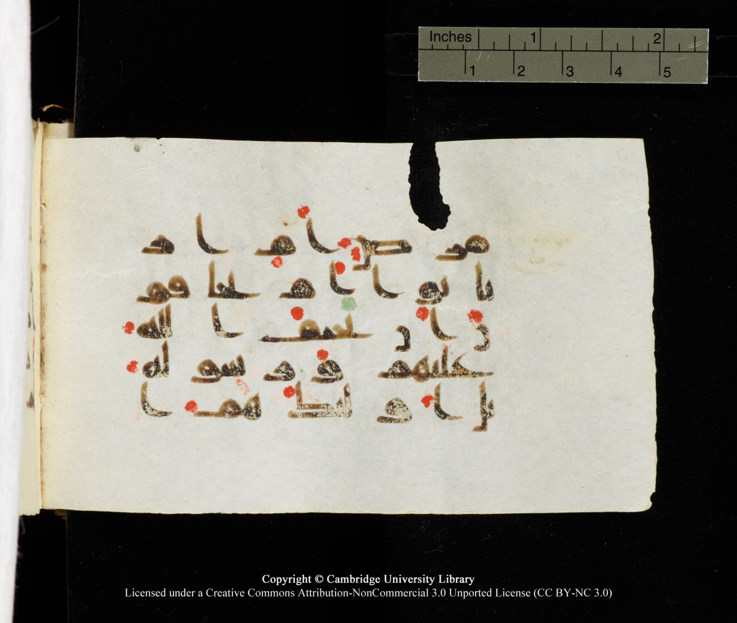 Cambridge University Library MS Add.1138 (Scan 2), in kūfī D.Va script, showing Surah 24:50 from 9th to 10th Century AD found in Sinai Peninsula, currently housed at Cambridge University Library, Cambridge