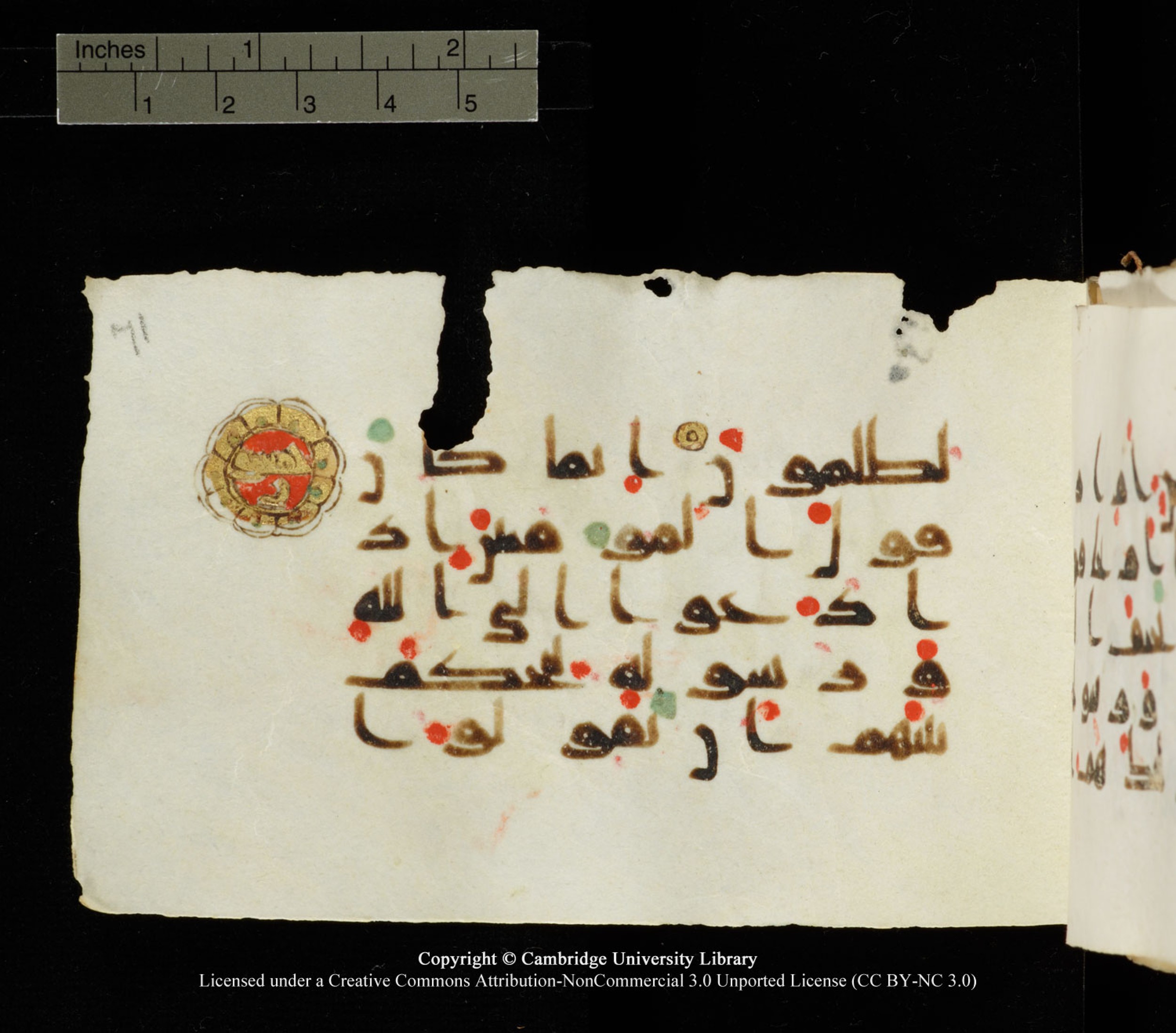 Cambridge University Library MS Add.1138 (Scan 1), in kūfī D.Va script, showing Surah 24:51 from 9th to 10th Century AD found in Sinai Peninsula, currently housed at Cambridge University Library, Cambridge