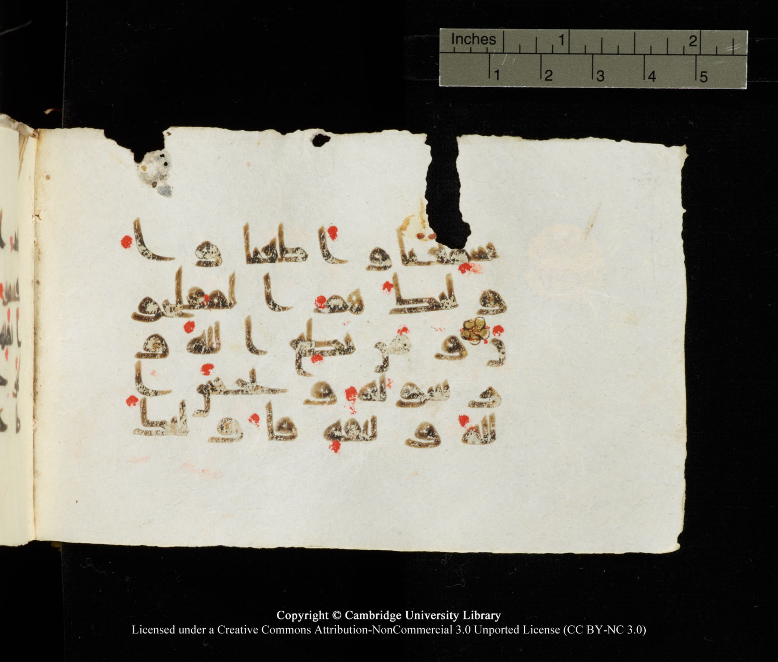 Cambridge University Library MS Add.1138 (Scan 1), in kūfī D.Va script, showing Surah 24:52 from 9th to 10th Century AD found in Sinai Peninsula, currently housed at Cambridge University Library, Cambridge