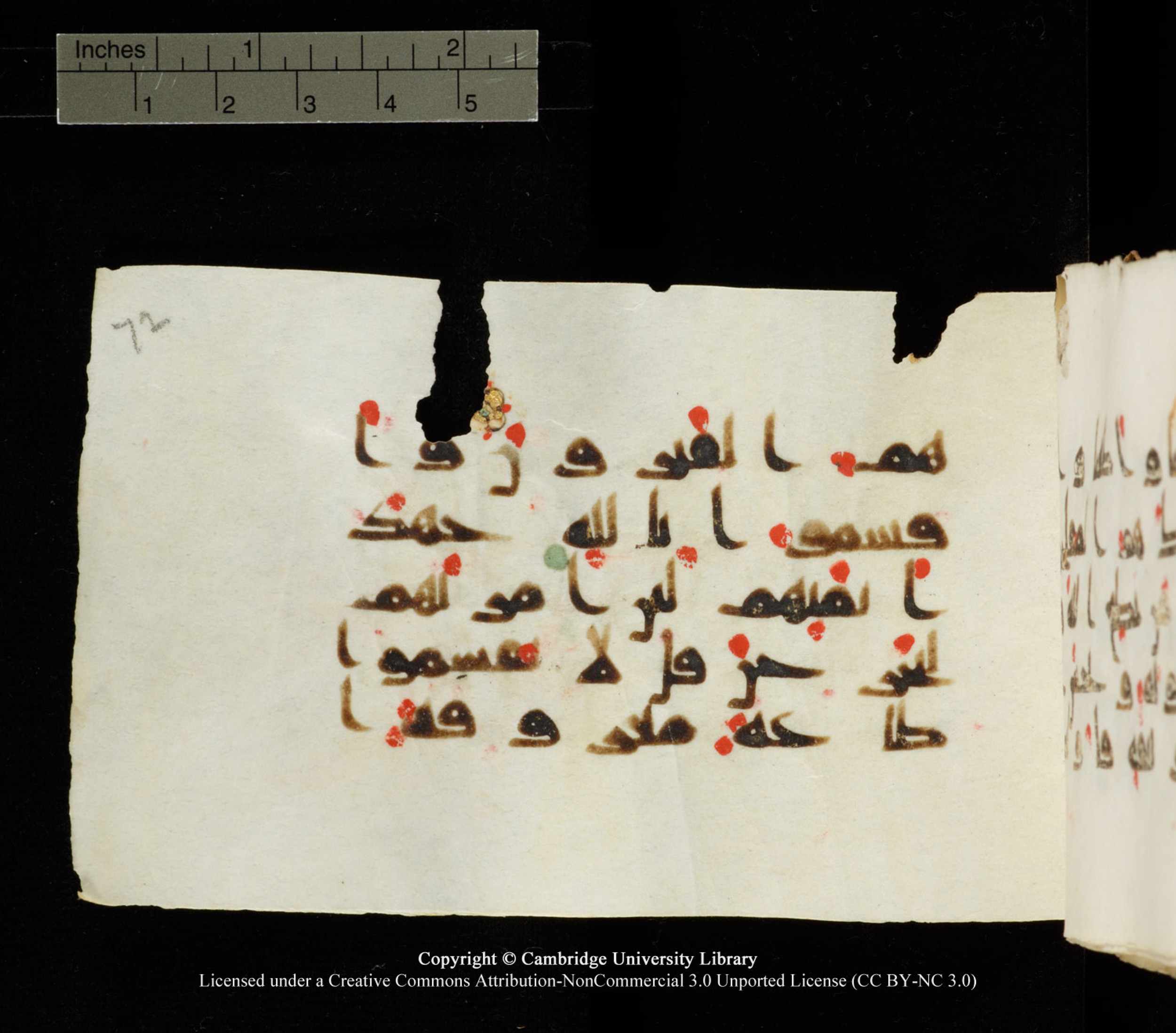 Cambridge University Library MS Add.1138 (Scan 2), in kūfī D.Va script, showing Surah 24:52 from 9th to 10th Century AD found in Sinai Peninsula, currently housed at Cambridge University Library, Cambridge