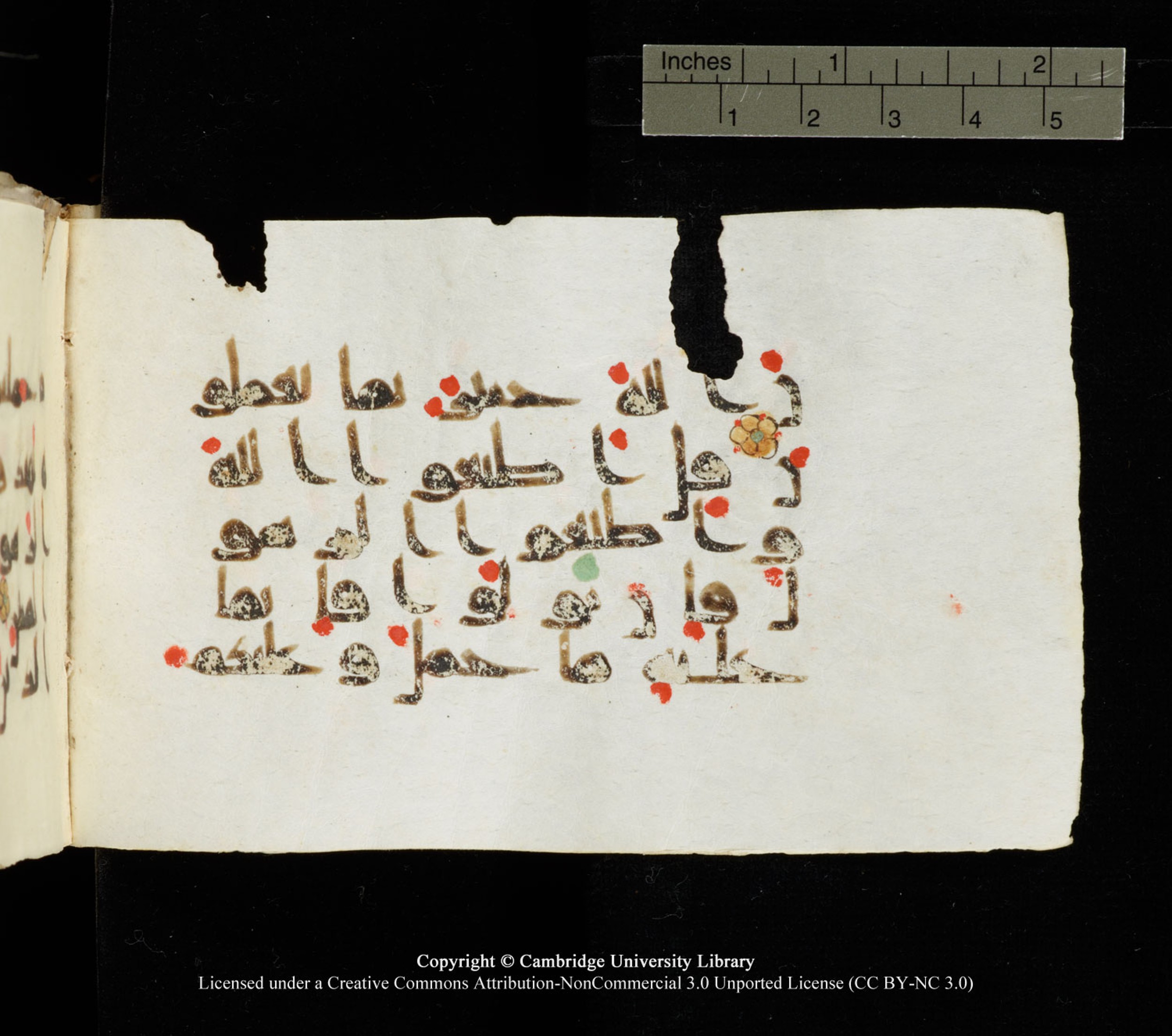 Cambridge University Library MS Add.1138 (Scan 1), in kūfī D.Va script, showing Surah 24:54 from 9th to 10th Century AD found in Sinai Peninsula, currently housed at Cambridge University Library, Cambridge