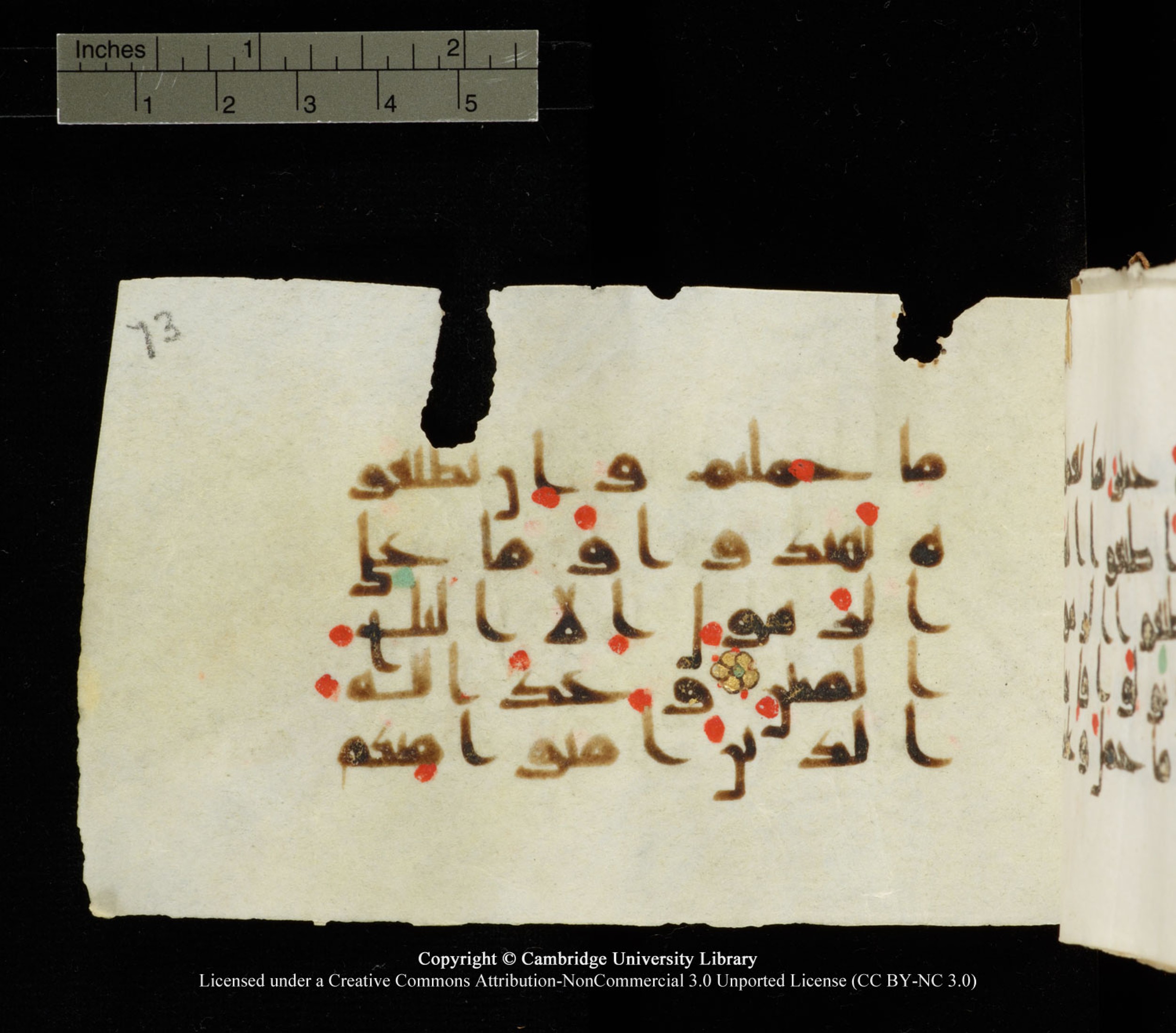 Cambridge University Library MS Add.1138 (Scan 1), in kūfī D.Va script, showing Surah 24:55 from 9th to 10th Century AD found in Sinai Peninsula, currently housed at Cambridge University Library, Cambridge