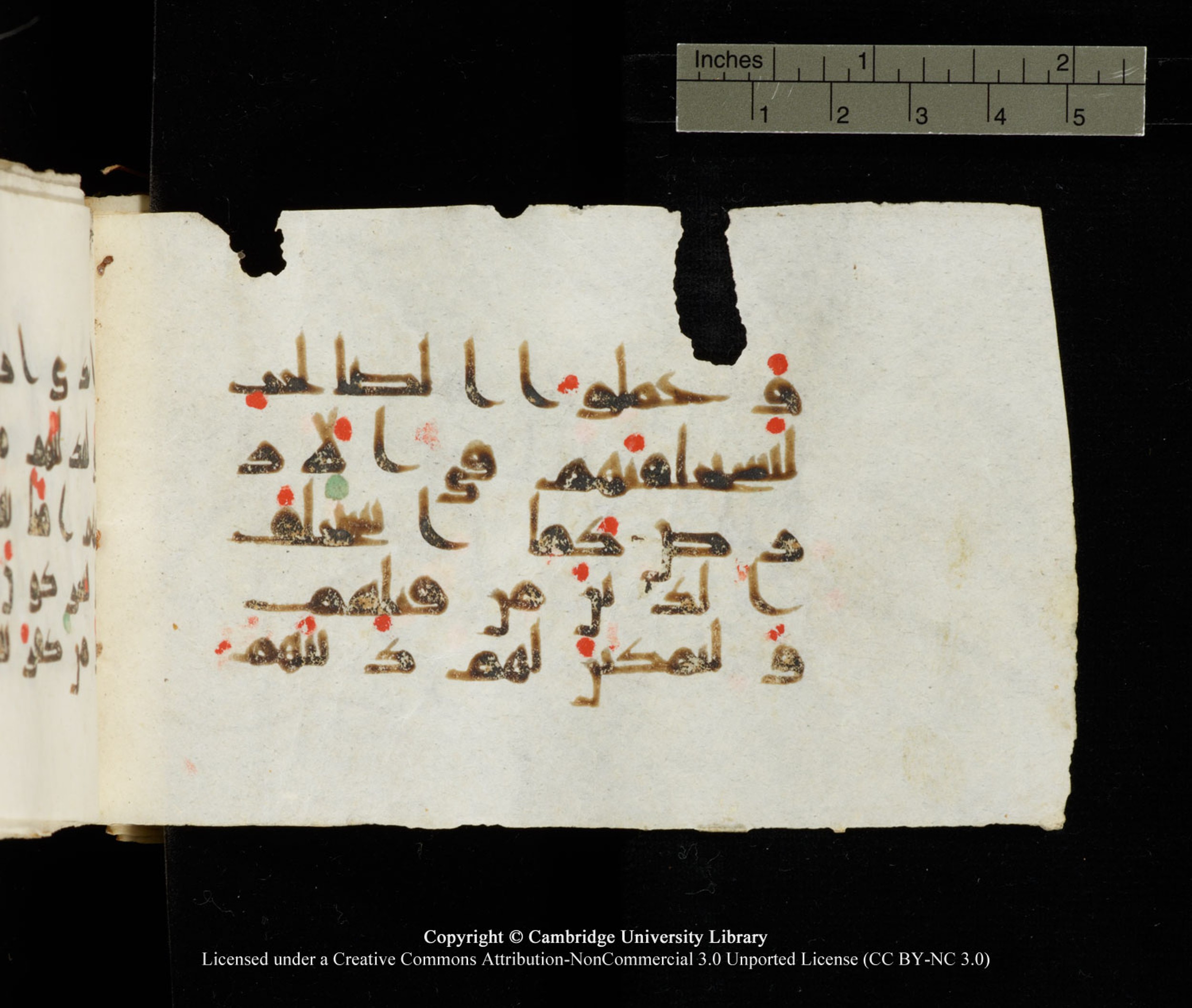 Cambridge University Library MS Add.1138 (Scan 2), in kūfī D.Va script, showing Surah 24:55 from 9th to 10th Century AD found in Sinai Peninsula, currently housed at Cambridge University Library, Cambridge