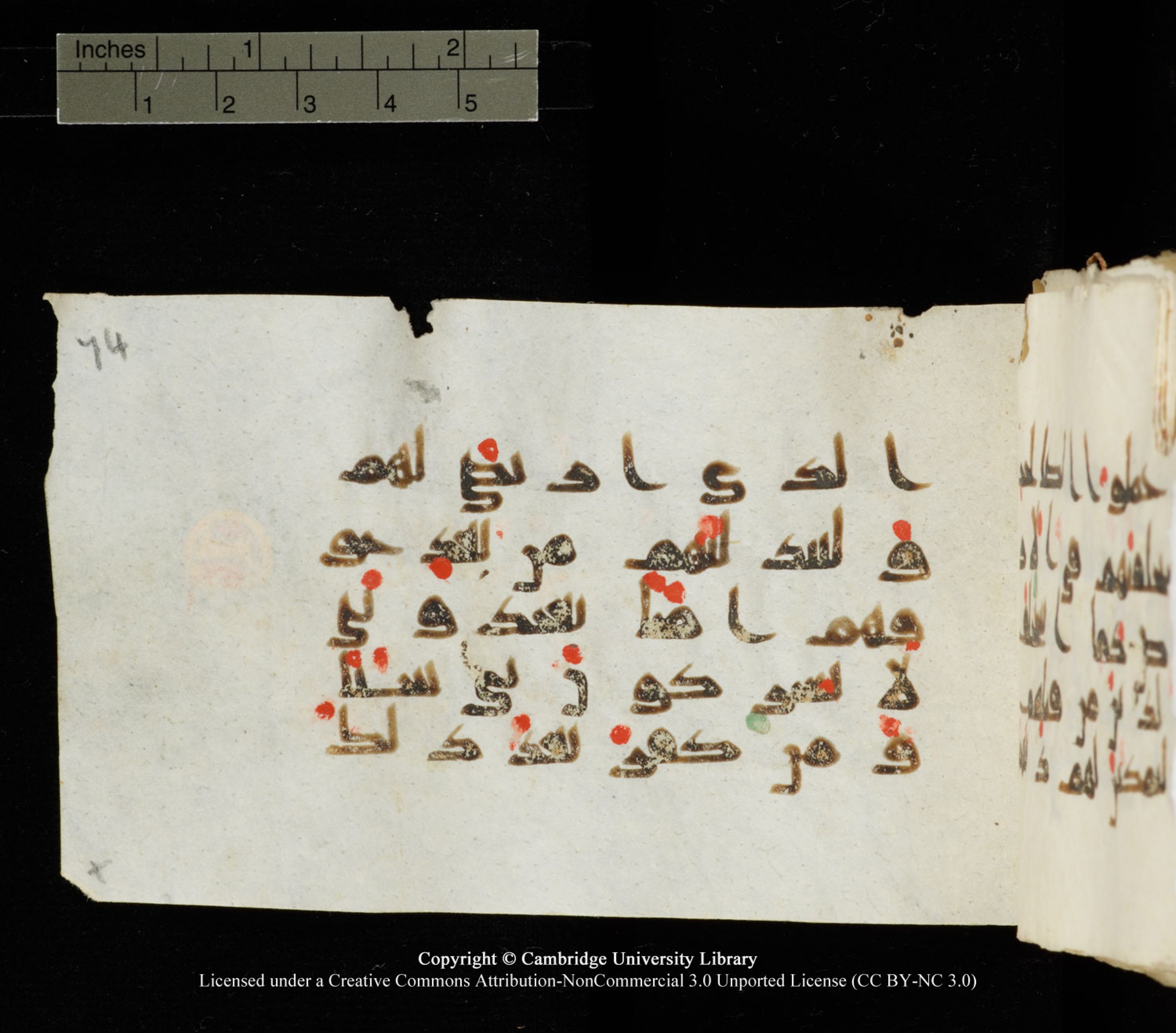 Cambridge University Library MS Add.1138 (Scan 3), in kūfī D.Va script, showing Surah 24:55 from 9th to 10th Century AD found in Sinai Peninsula, currently housed at Cambridge University Library, Cambridge