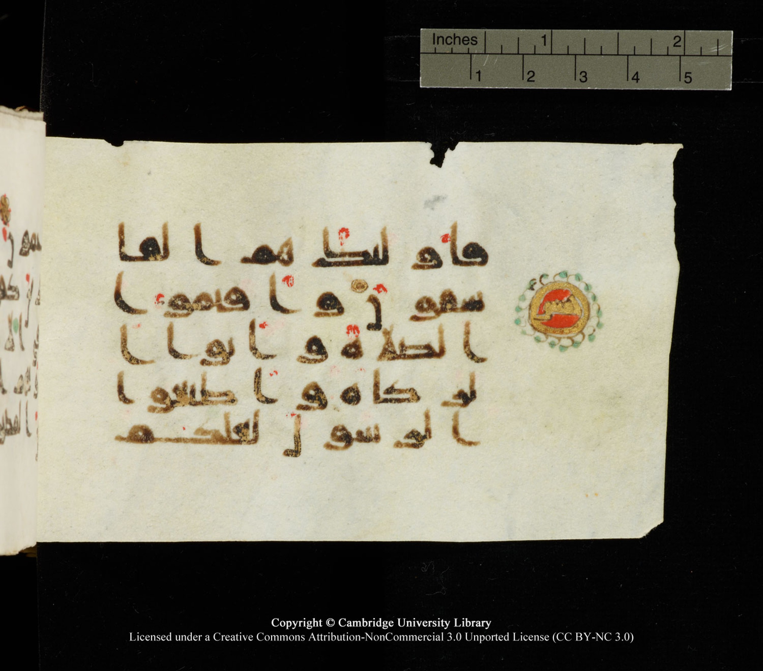Cambridge University Library MS Add.1138 (Scan 4), in kūfī D.Va script, showing Surah 24:55 from 9th to 10th Century AD found in Sinai Peninsula, currently housed at Cambridge University Library, Cambridge