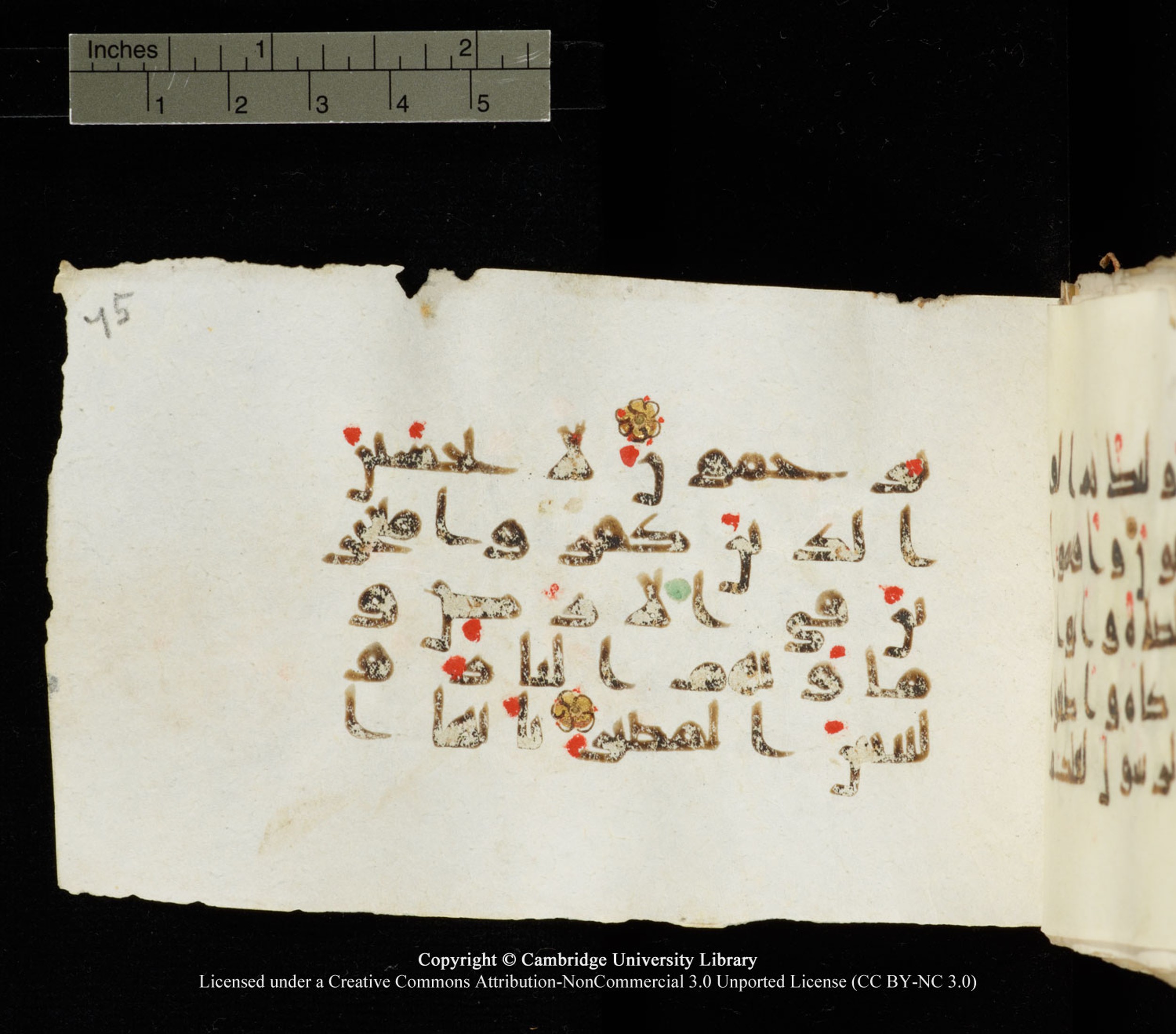 Cambridge University Library MS Add.1138, in kūfī D.Va script, showing Surah 24:57 from 9th to 10th Century AD found in Sinai Peninsula, currently housed at Cambridge University Library, Cambridge