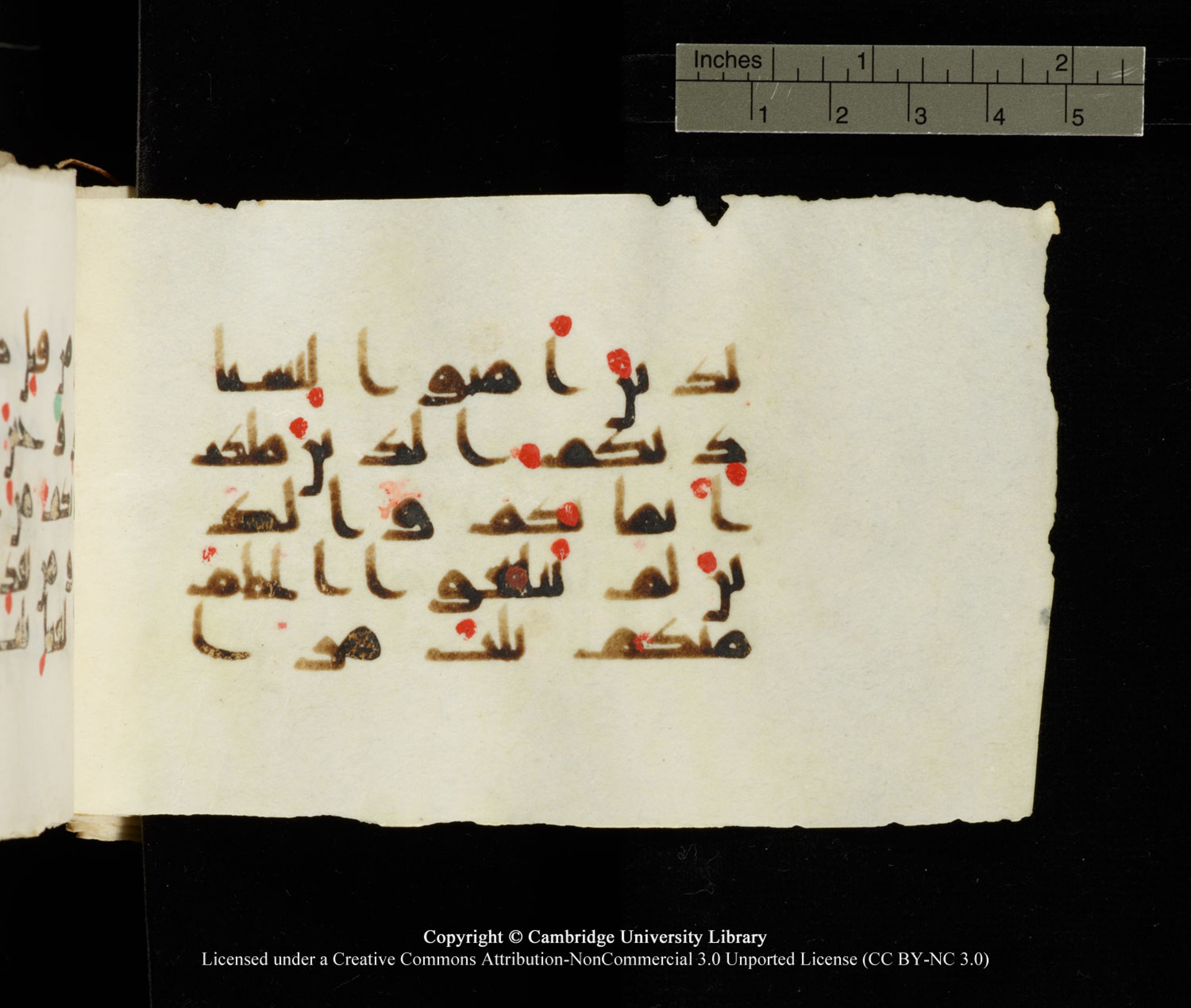 Cambridge University Library MS Add.1138 (Scan 2), in kūfī D.Va script, showing Surah 24:58 from 9th to 10th Century AD found in Sinai Peninsula, currently housed at Cambridge University Library, Cambridge
