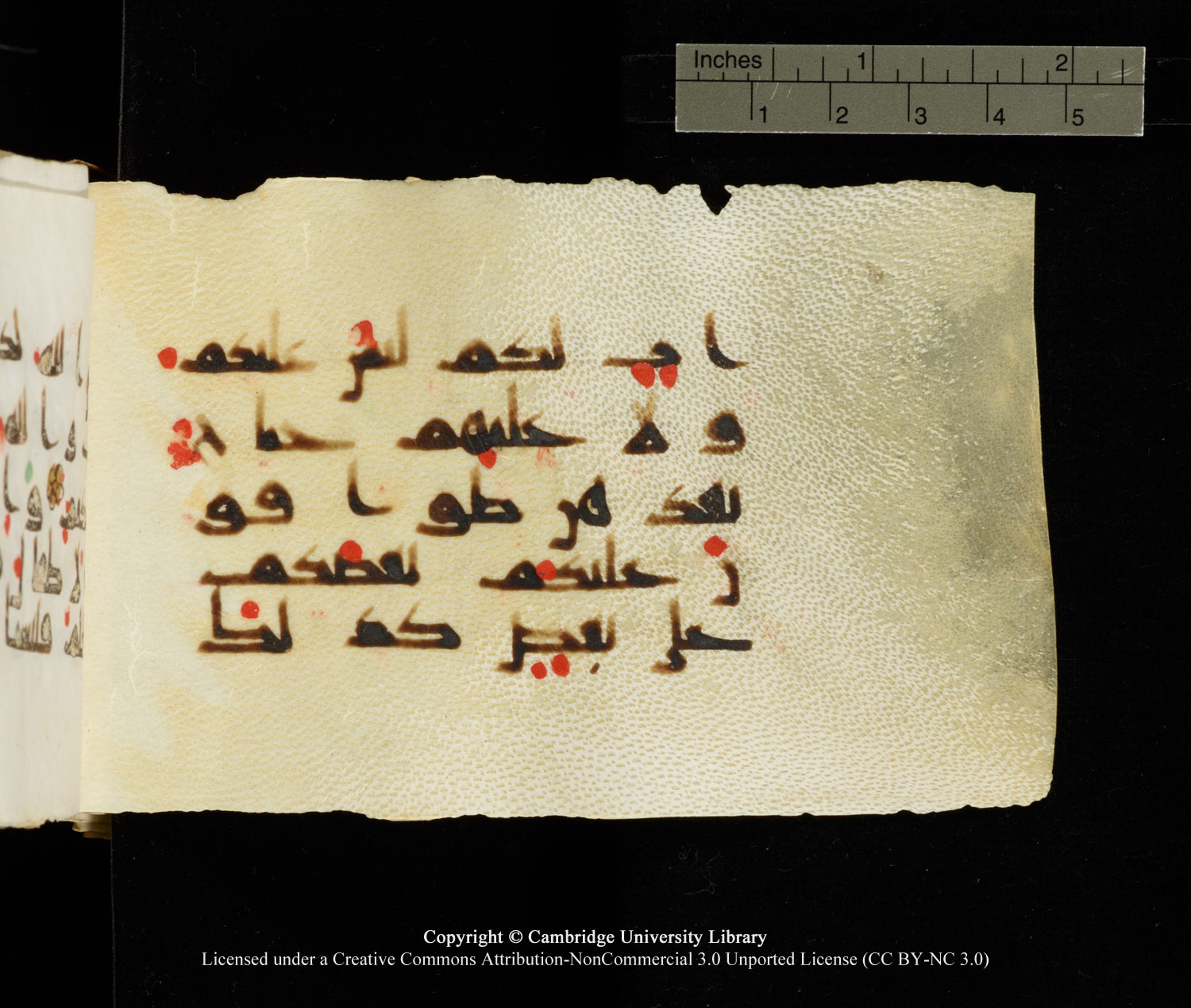 Cambridge University Library MS Add.1138 (Scan 4), in kūfī D.Va script, showing Surah 24:58 from 9th to 10th Century AD found in Sinai Peninsula, currently housed at Cambridge University Library, Cambridge