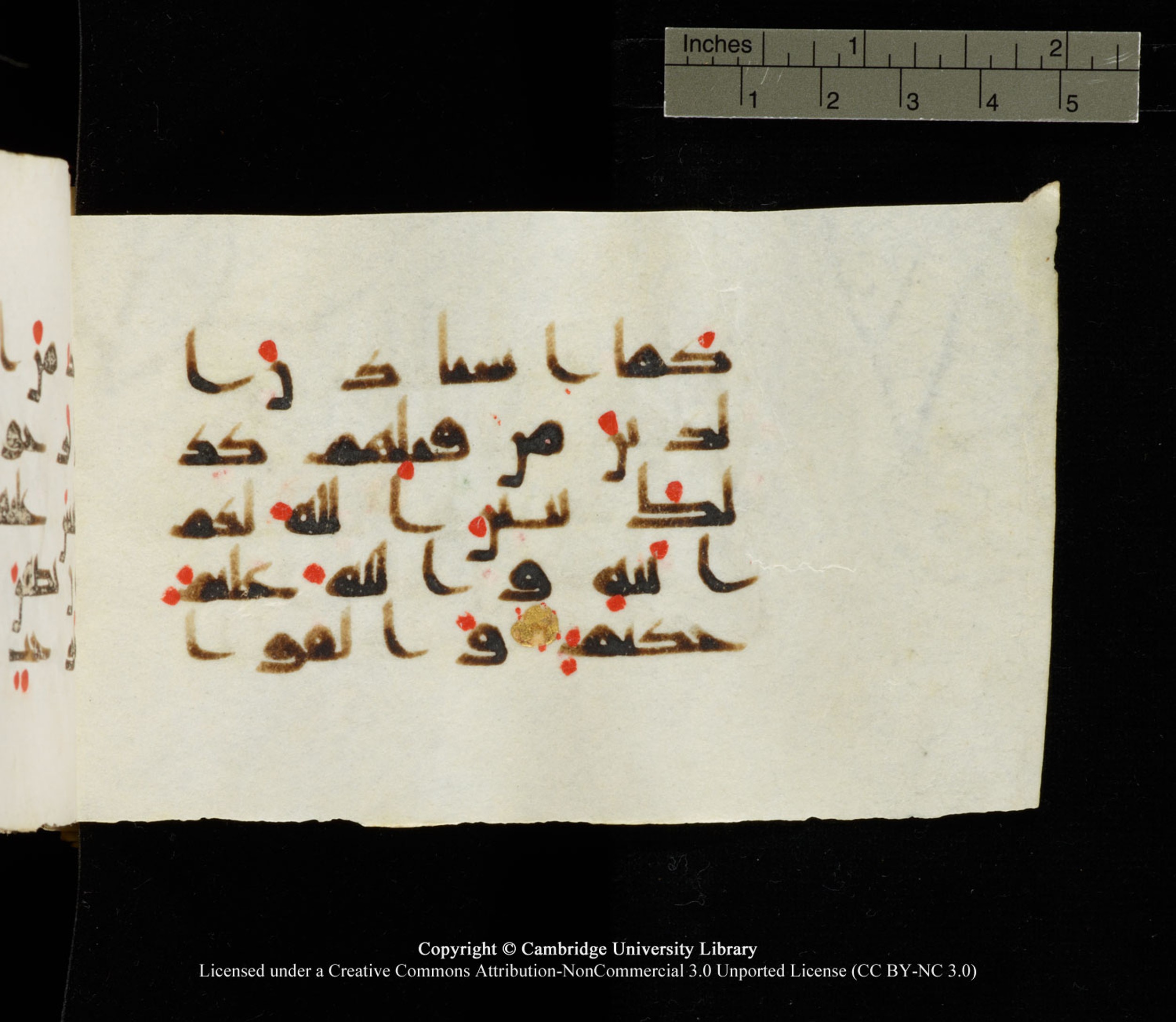 Cambridge University Library MS Add.1138 (Scan 2), in kūfī D.Va script, showing Surah 24:59 from 9th to 10th Century AD found in Sinai Peninsula, currently housed at Cambridge University Library, Cambridge