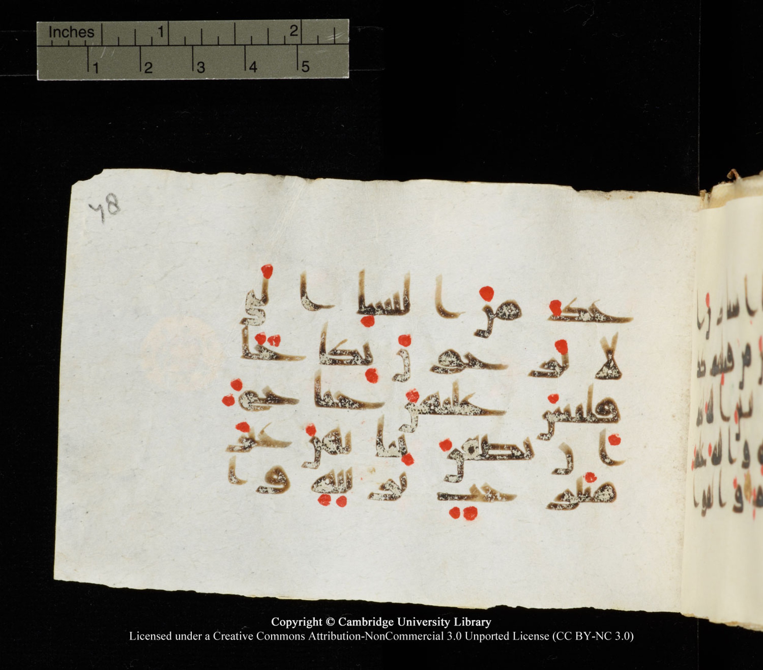 Cambridge University Library MS Add.1138 (Scan 2), in kūfī D.Va script, showing Surah 24:60 from 9th to 10th Century AD found in Sinai Peninsula, currently housed at Cambridge University Library, Cambridge