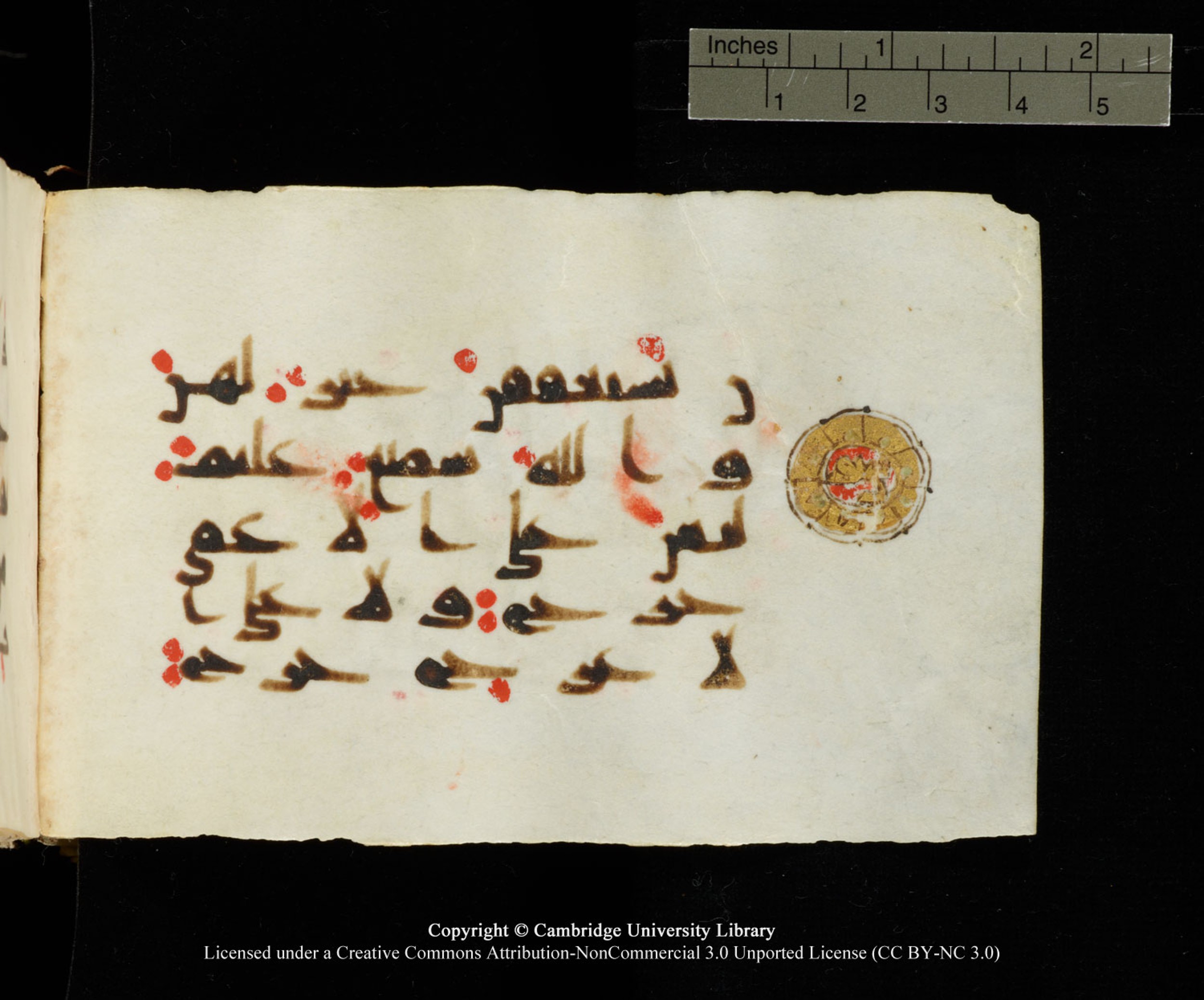 Cambridge University Library MS Add.1138 (Scan 1), in kūfī D.Va script, showing Surah 24:61 from 9th to 10th Century AD found in Sinai Peninsula, currently housed at Cambridge University Library, Cambridge
