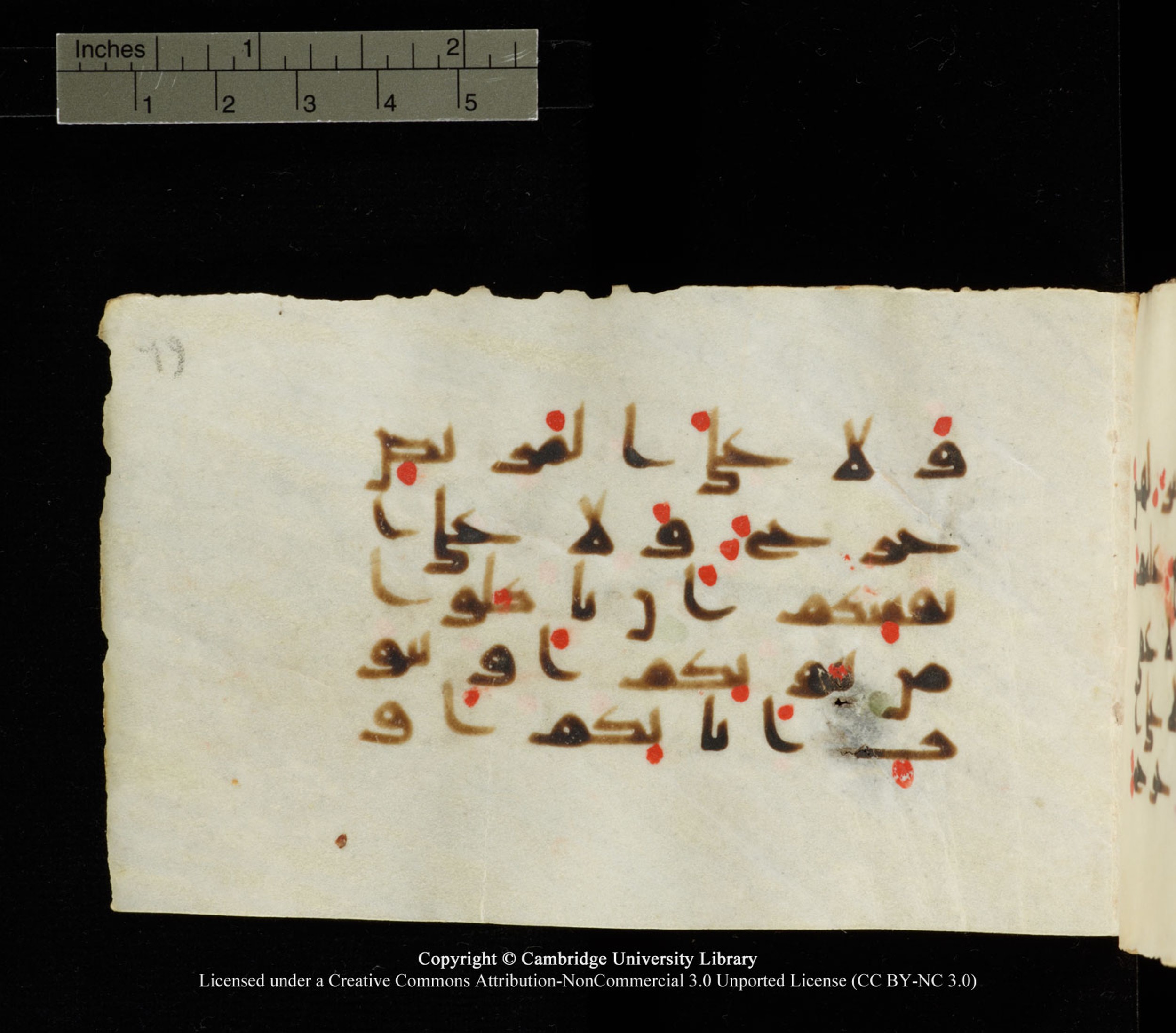 Cambridge University Library MS Add.1138 (Scan 2), in kūfī D.Va script, showing Surah 24:61 from 9th to 10th Century AD found in Sinai Peninsula, currently housed at Cambridge University Library, Cambridge
