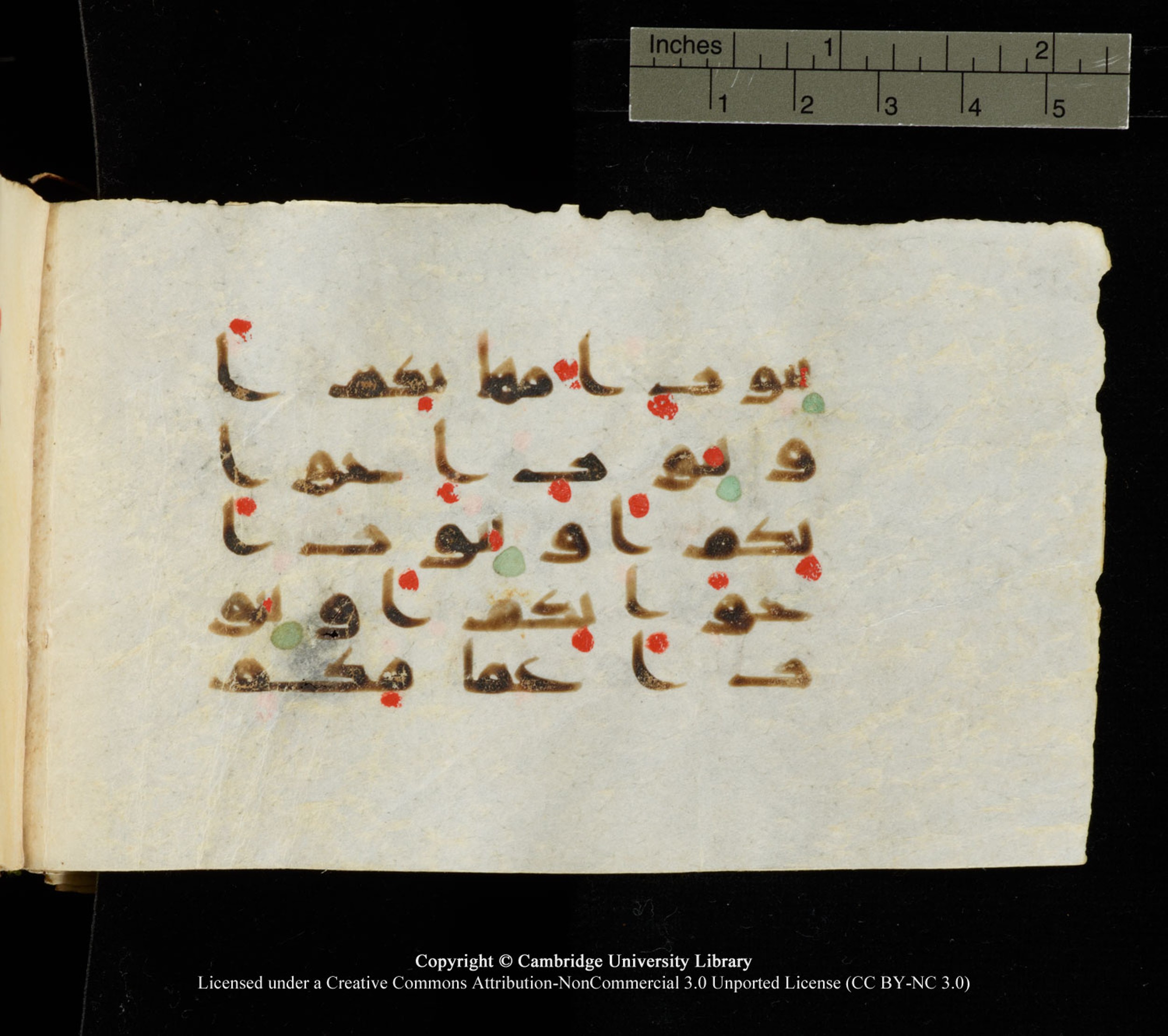 Cambridge University Library MS Add.1138 (Scan 3), in kūfī D.Va script, showing Surah 24:61 from 9th to 10th Century AD found in Sinai Peninsula, currently housed at Cambridge University Library, Cambridge