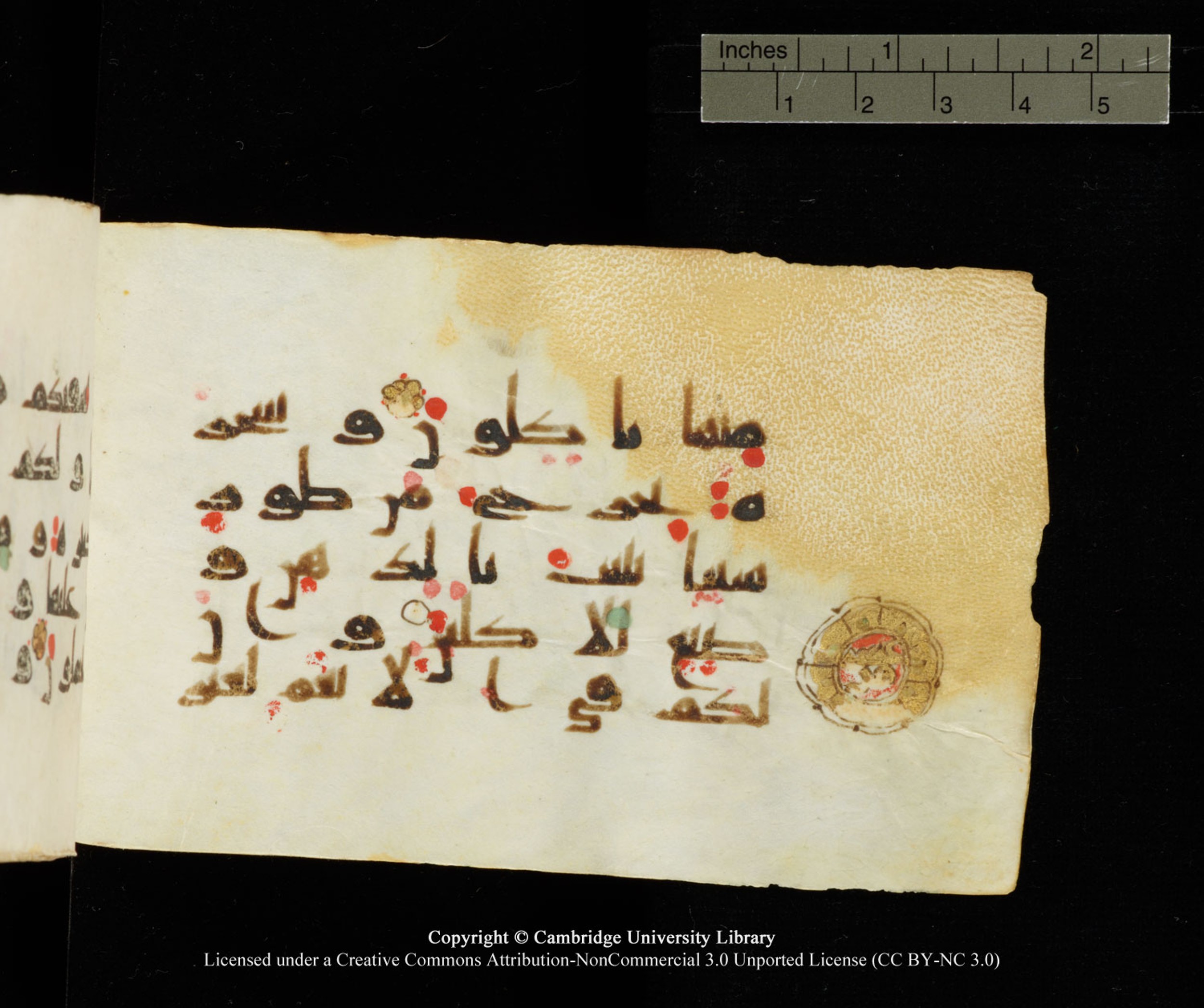 Cambridge University Library MS Add.1138 (Scan 2), in kūfī D.Va script, showing Surah 23:19 from 9th to 10th Century AD found in Sinai Peninsula, currently housed at Cambridge University Library, Cambridge