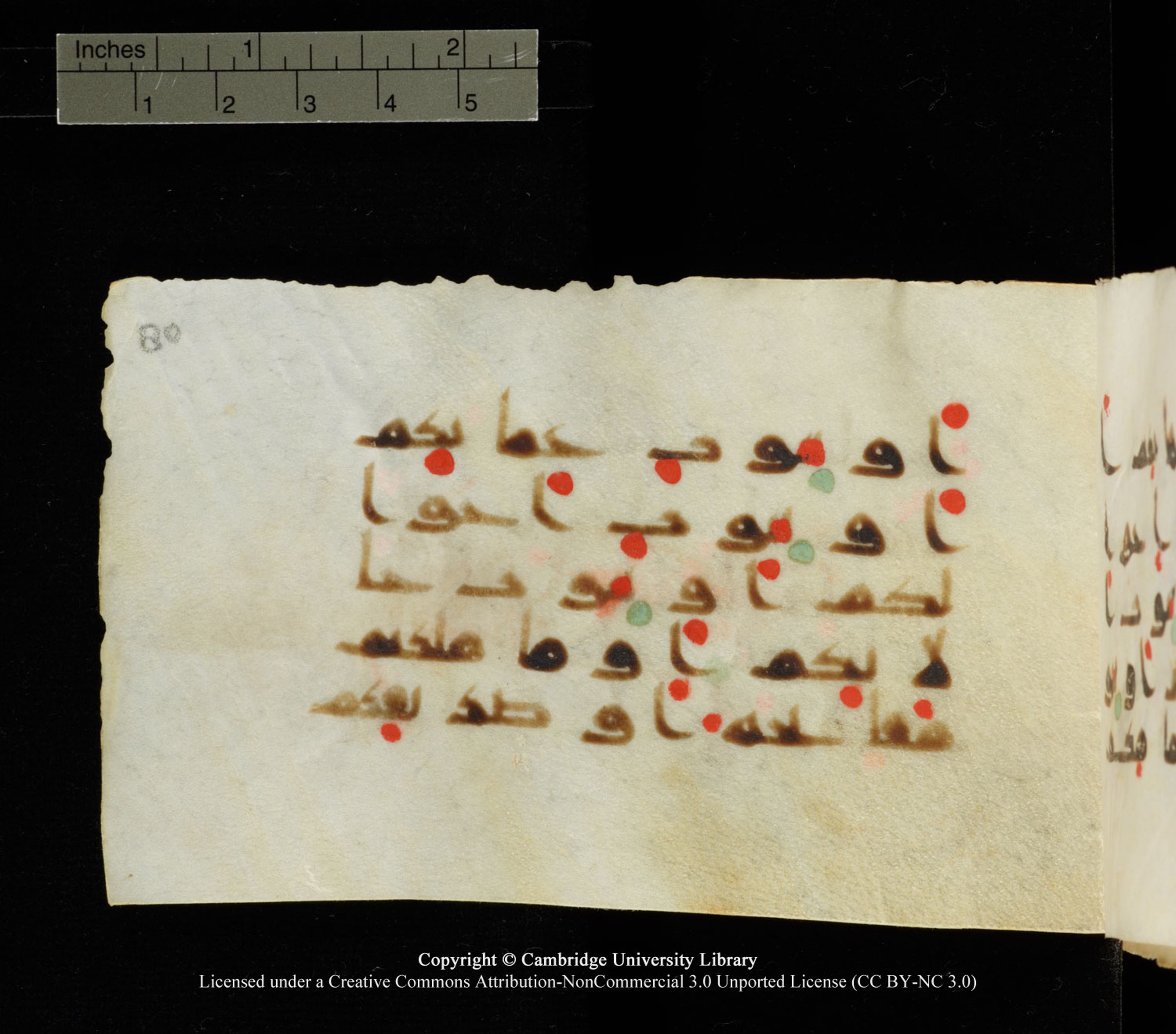 Cambridge University Library MS Add.1138 (Scan 4), in kūfī D.Va script, showing Surah 24:61 from 9th to 10th Century AD found in Sinai Peninsula, currently housed at Cambridge University Library, Cambridge