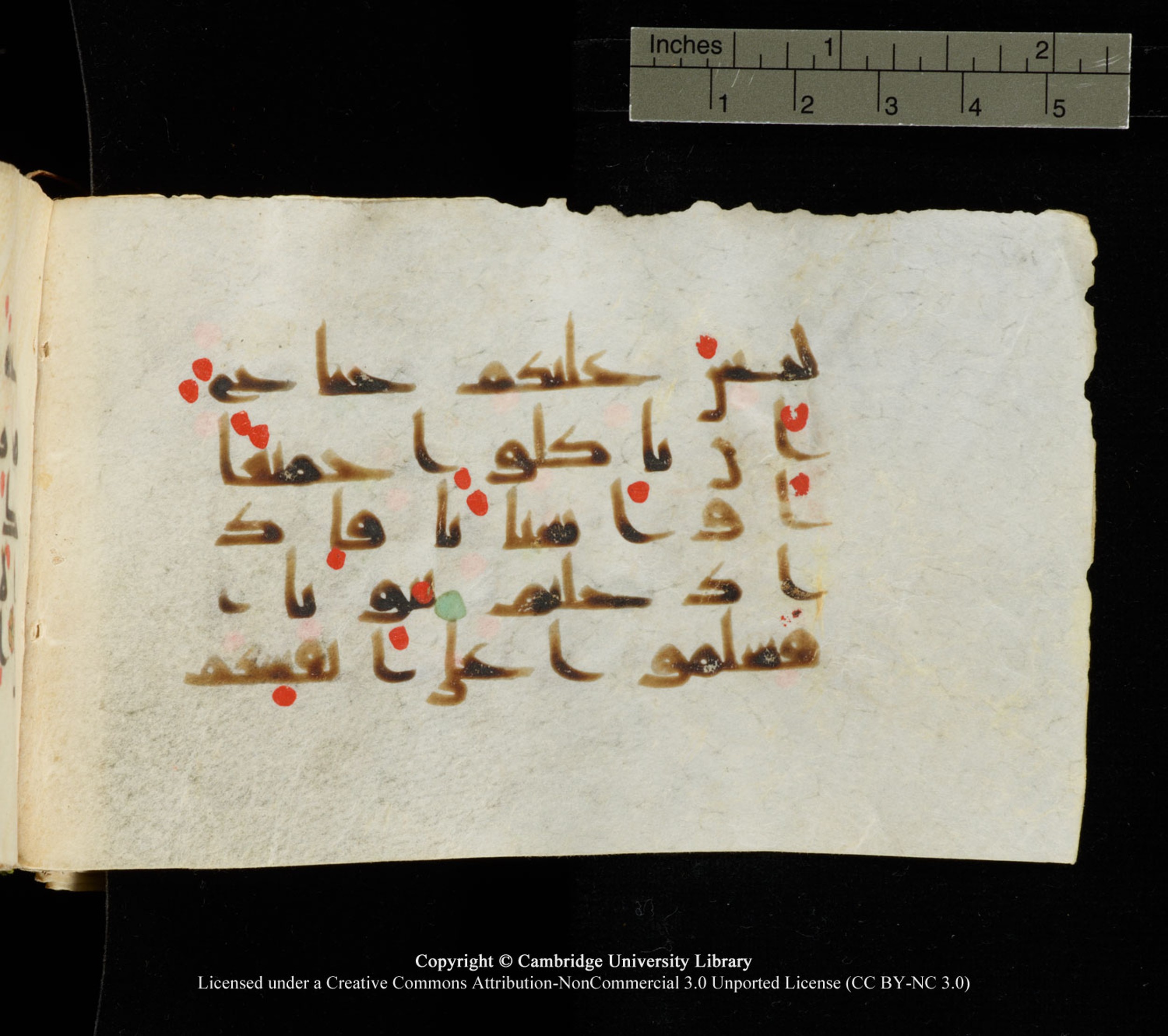 Cambridge University Library MS Add.1138 (Scan 5), in kūfī D.Va script, showing Surah 24:61 from 9th to 10th Century AD found in Sinai Peninsula, currently housed at Cambridge University Library, Cambridge