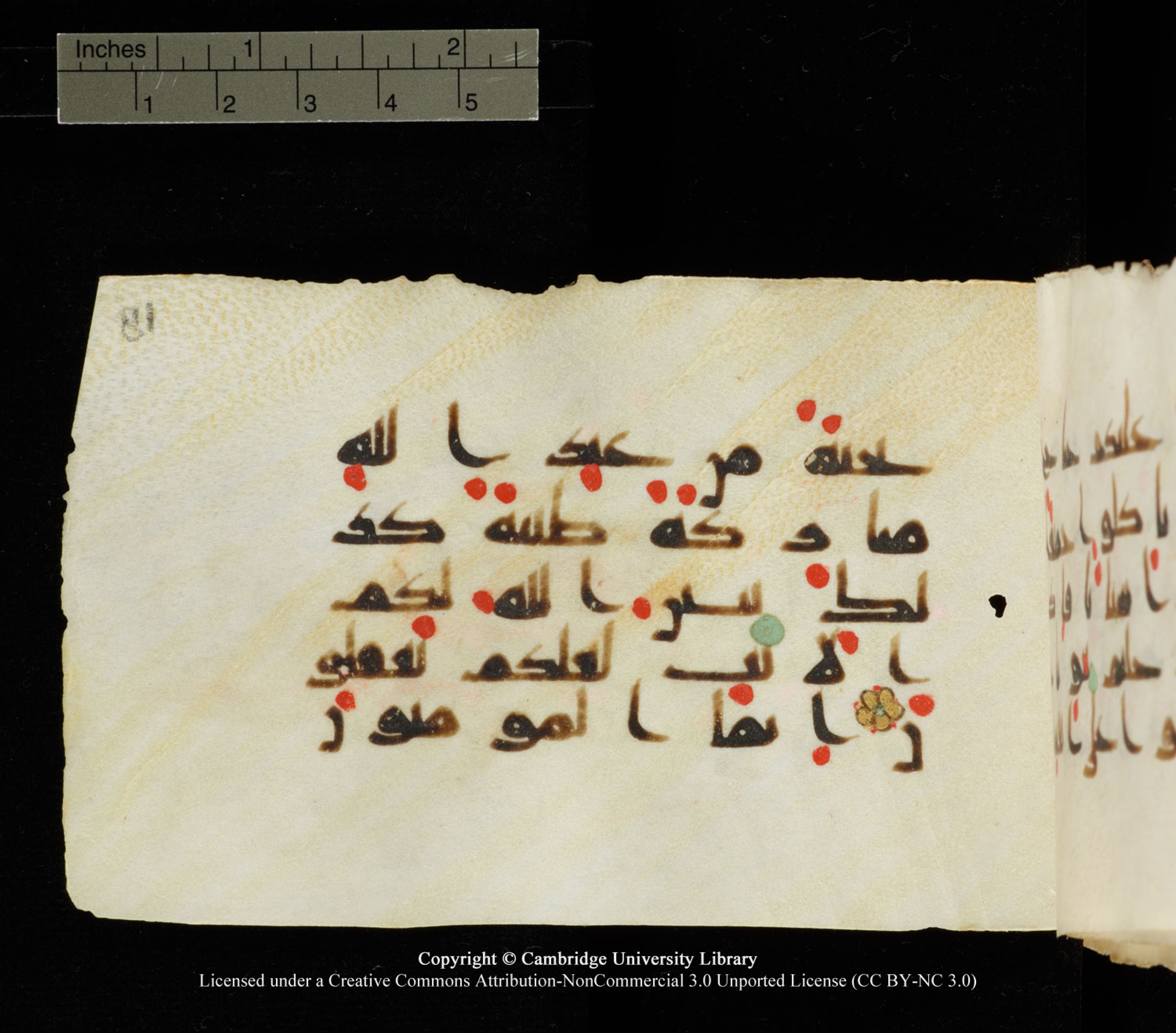 Cambridge University Library MS Add.1138 (Scan 1), in kūfī D.Va script, showing Surah 24:62 from 9th to 10th Century AD found in Sinai Peninsula, currently housed at Cambridge University Library, Cambridge