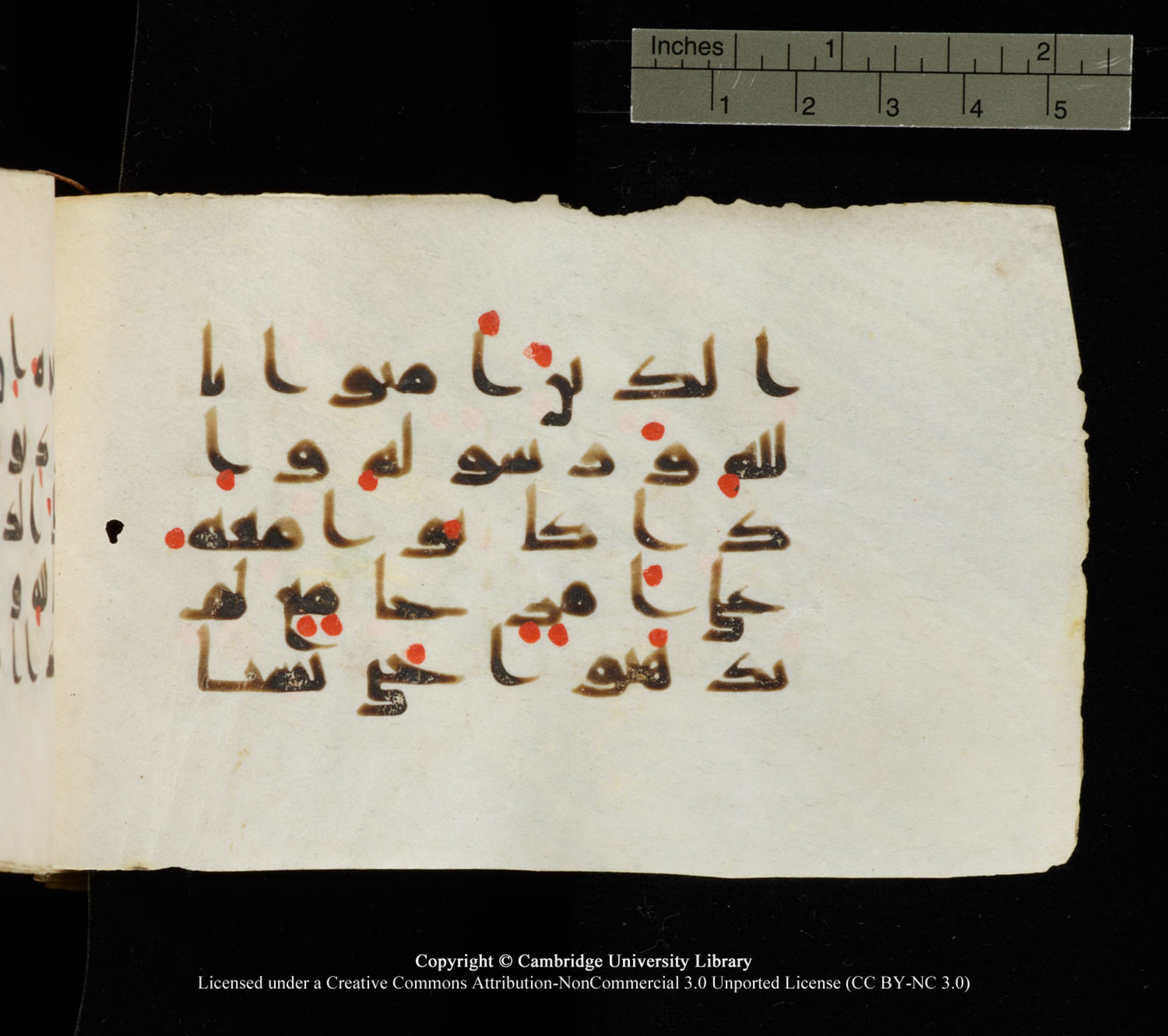 Cambridge University Library MS Add.1138 (Scan 2), in kūfī D.Va script, showing Surah 24:62 from 9th to 10th Century AD found in Sinai Peninsula, currently housed at Cambridge University Library, Cambridge