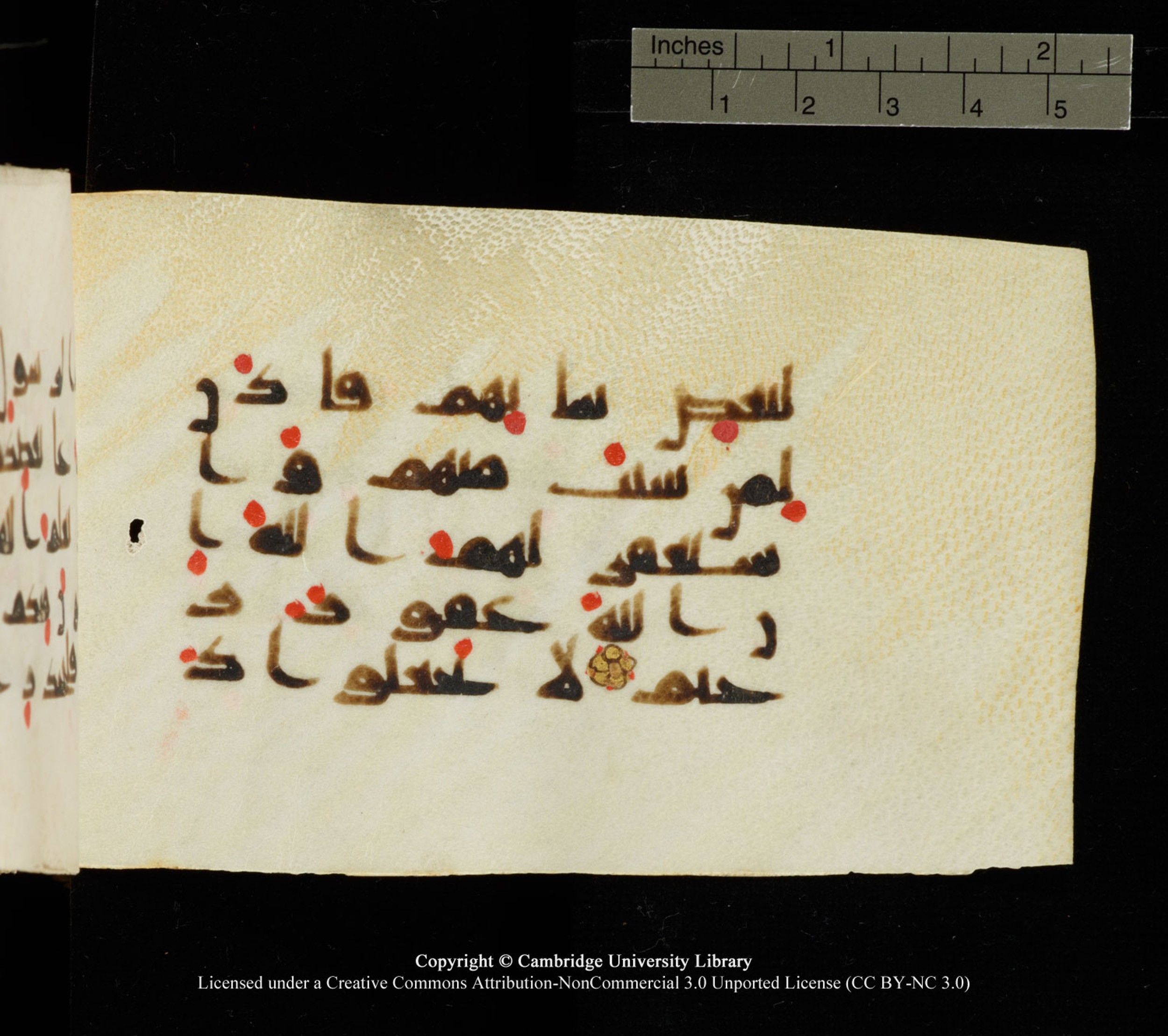 Cambridge University Library MS Add.1138 (Scan 4), in kūfī D.Va script, showing Surah 24:62 from 9th to 10th Century AD found in Sinai Peninsula, currently housed at Cambridge University Library, Cambridge