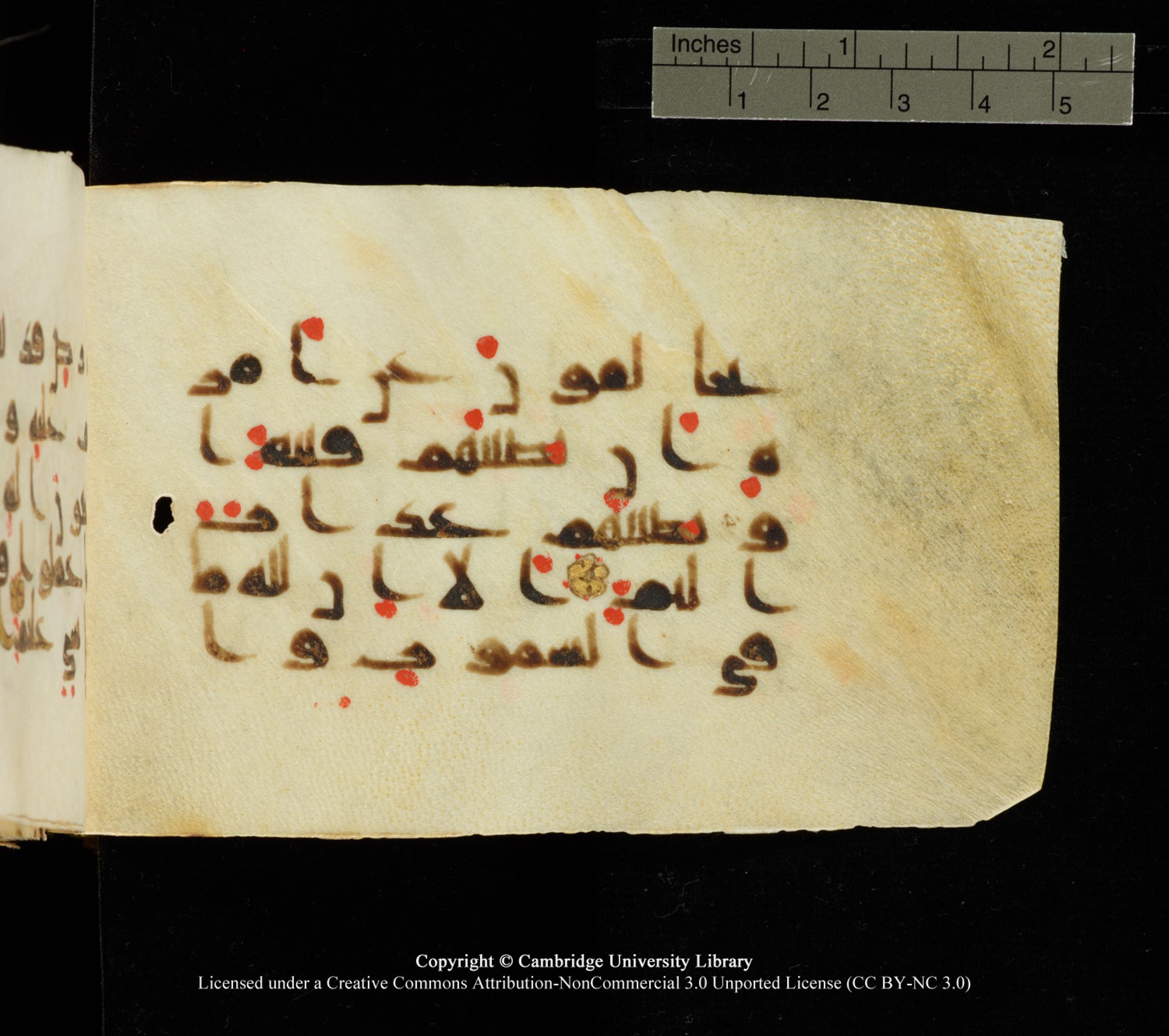 Cambridge University Library MS Add.1138 (Scan 1), in kūfī D.Va script, showing Surah 24:64 from 9th to 10th Century AD found in Sinai Peninsula, currently housed at Cambridge University Library, Cambridge