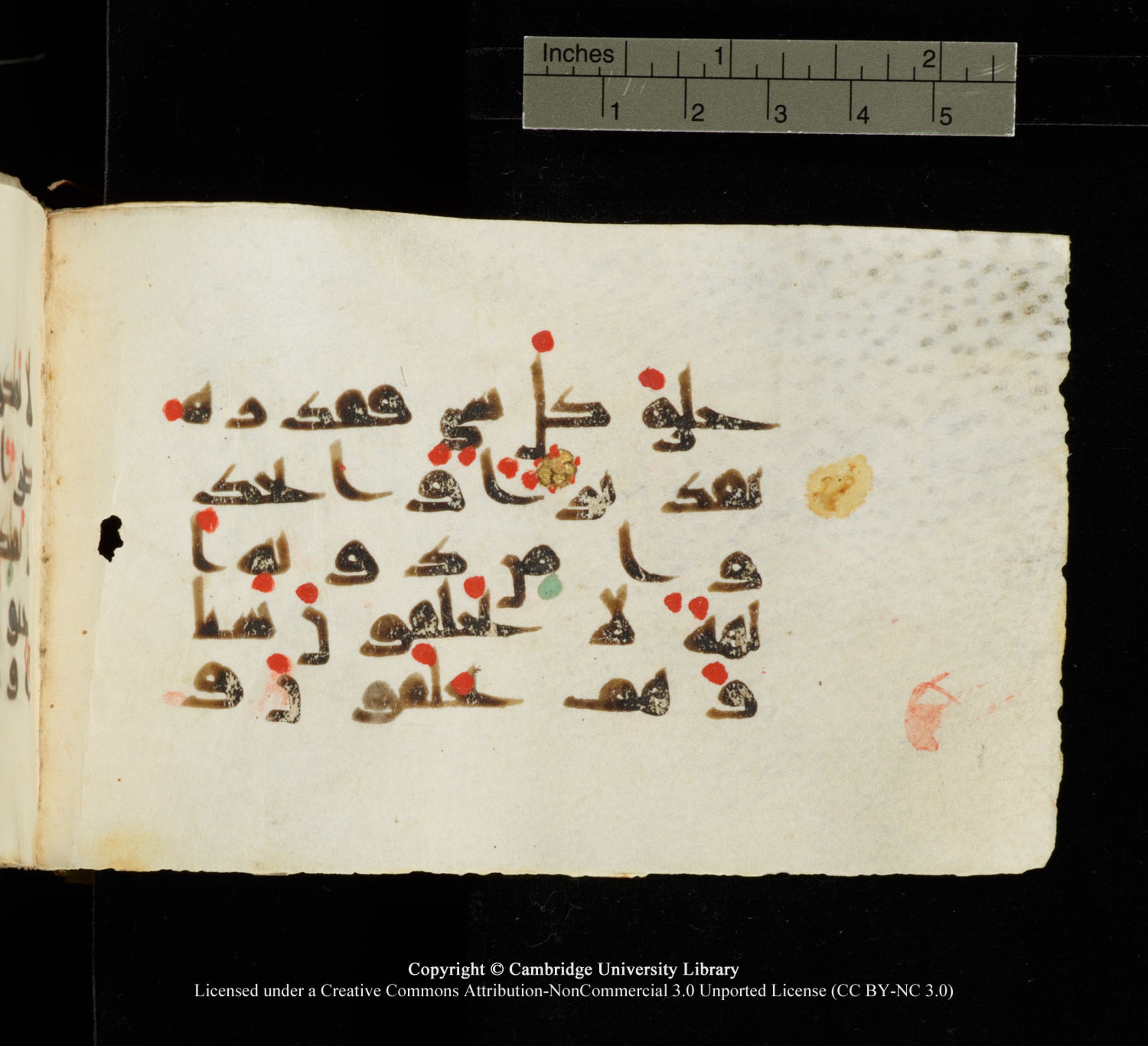 Cambridge University Library MS Add.1138 (Scan 1), in kūfī D.Va script, showing Surah 25:3 from 9th to 10th Century AD found in Sinai Peninsula, currently housed at Cambridge University Library, Cambridge