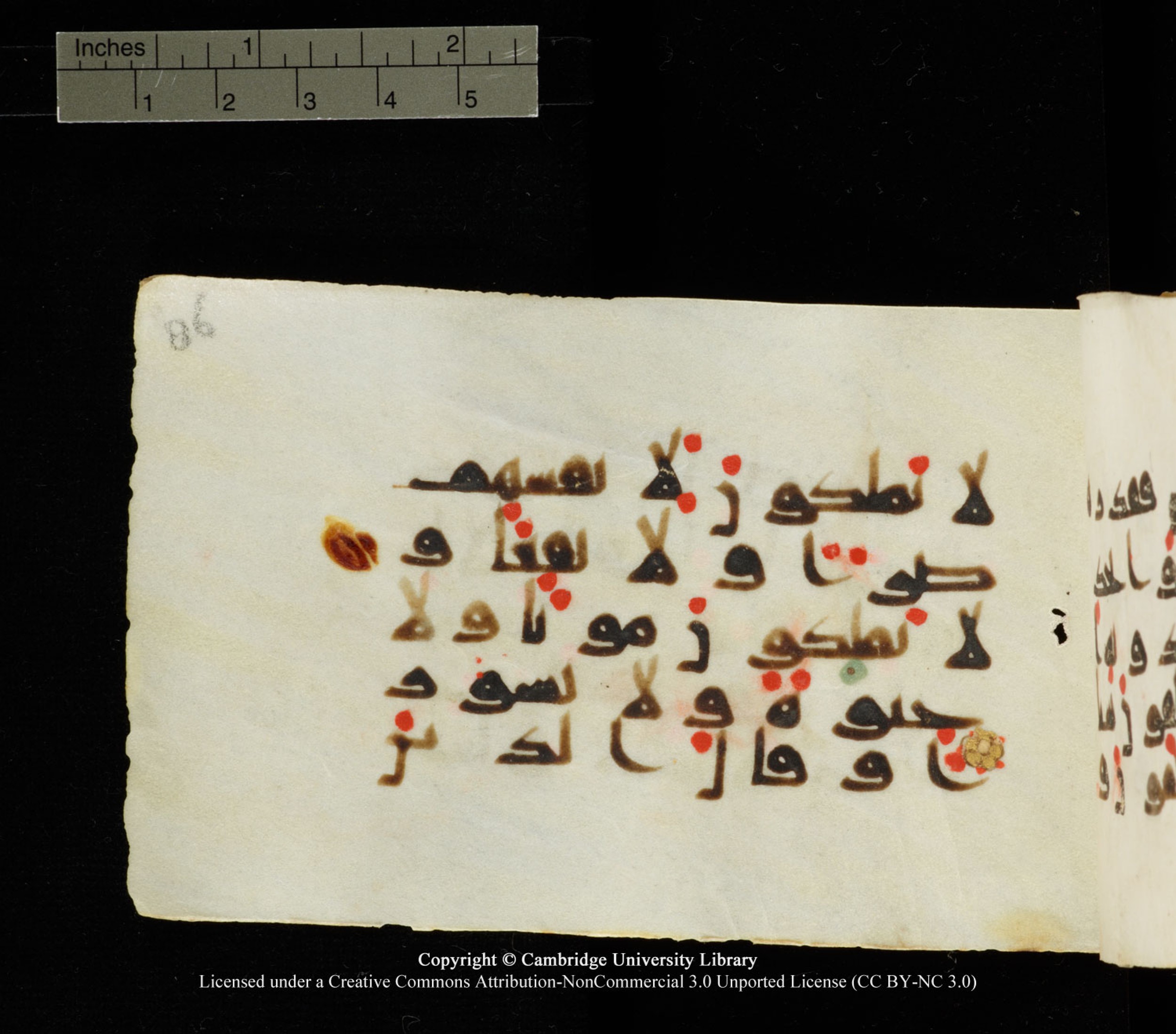 Cambridge University Library MS Add.1138 (Scan 2), in kūfī D.Va script, showing Surah 25:3 from 9th to 10th Century AD found in Sinai Peninsula, currently housed at Cambridge University Library, Cambridge