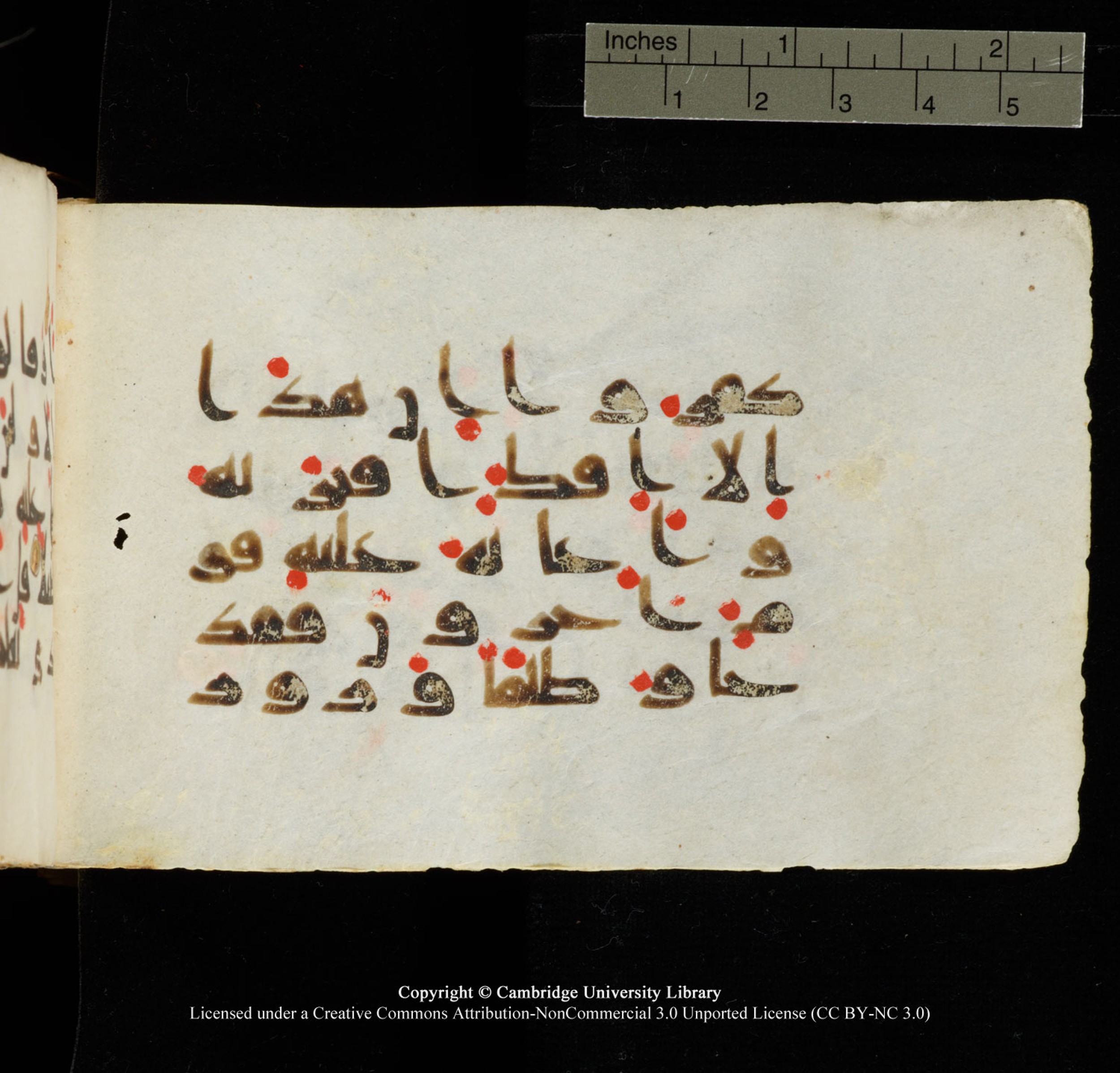 Cambridge University Library MS Add.1138 (Scan 2), in kūfī D.Va script, showing Surah 25:4 from 9th to 10th Century AD found in Sinai Peninsula, currently housed at Cambridge University Library, Cambridge