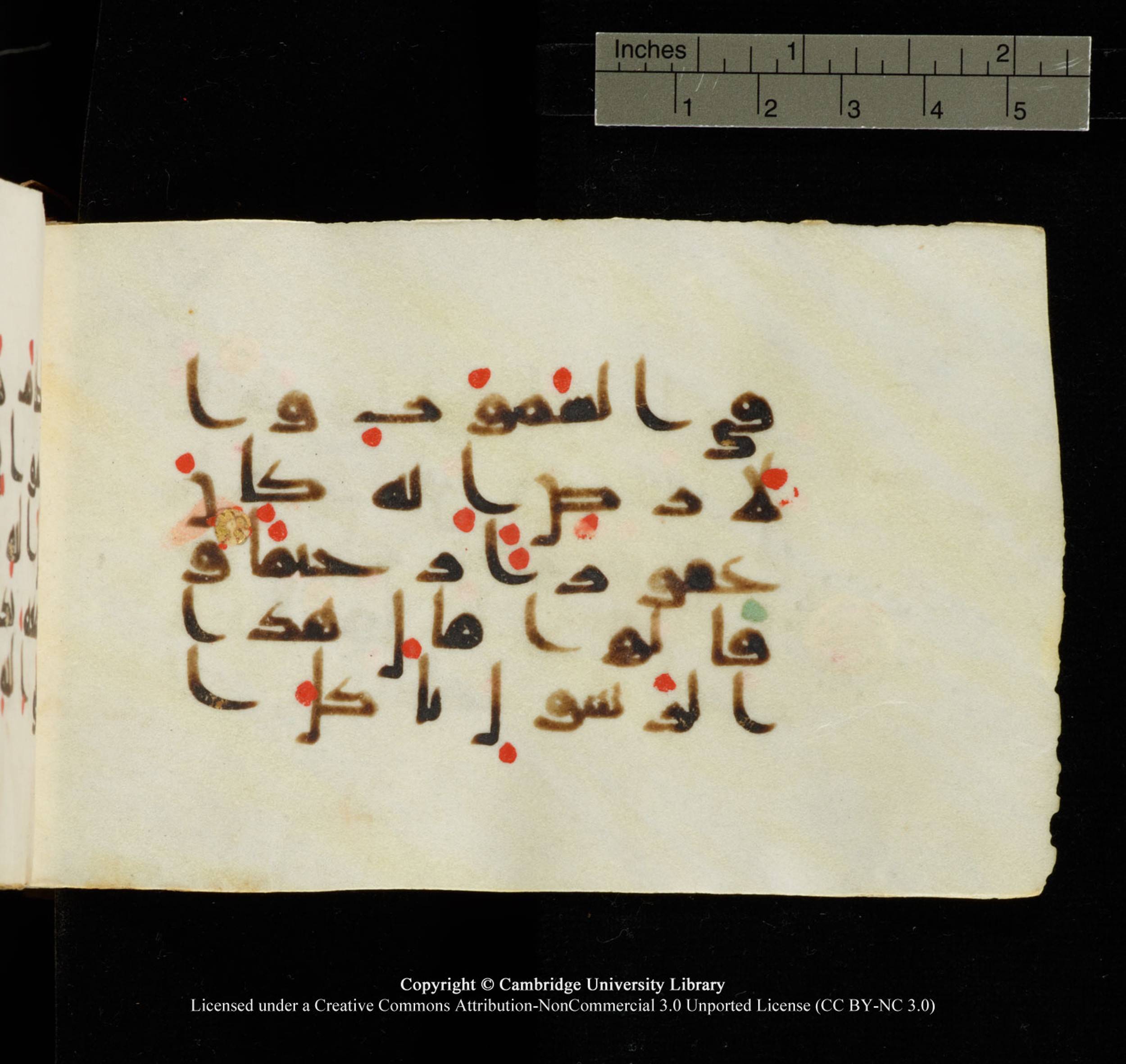 Cambridge University Library MS Add.1138 (Scan 1), in kūfī D.Va script, showing Surah 25:7 from 9th to 10th Century AD found in Sinai Peninsula, currently housed at Cambridge University Library, Cambridge
