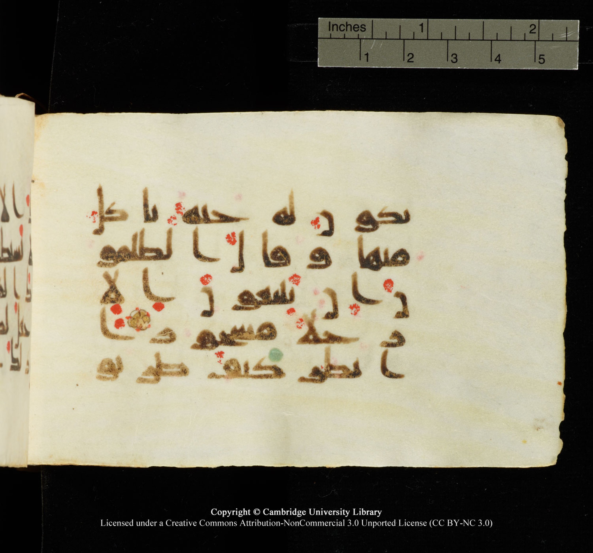 Cambridge University Library MS Add.1138 (Scan 2), in kūfī D.Va script, showing Surah 25:8 from 9th to 10th Century AD found in Sinai Peninsula, currently housed at Cambridge University Library, Cambridge