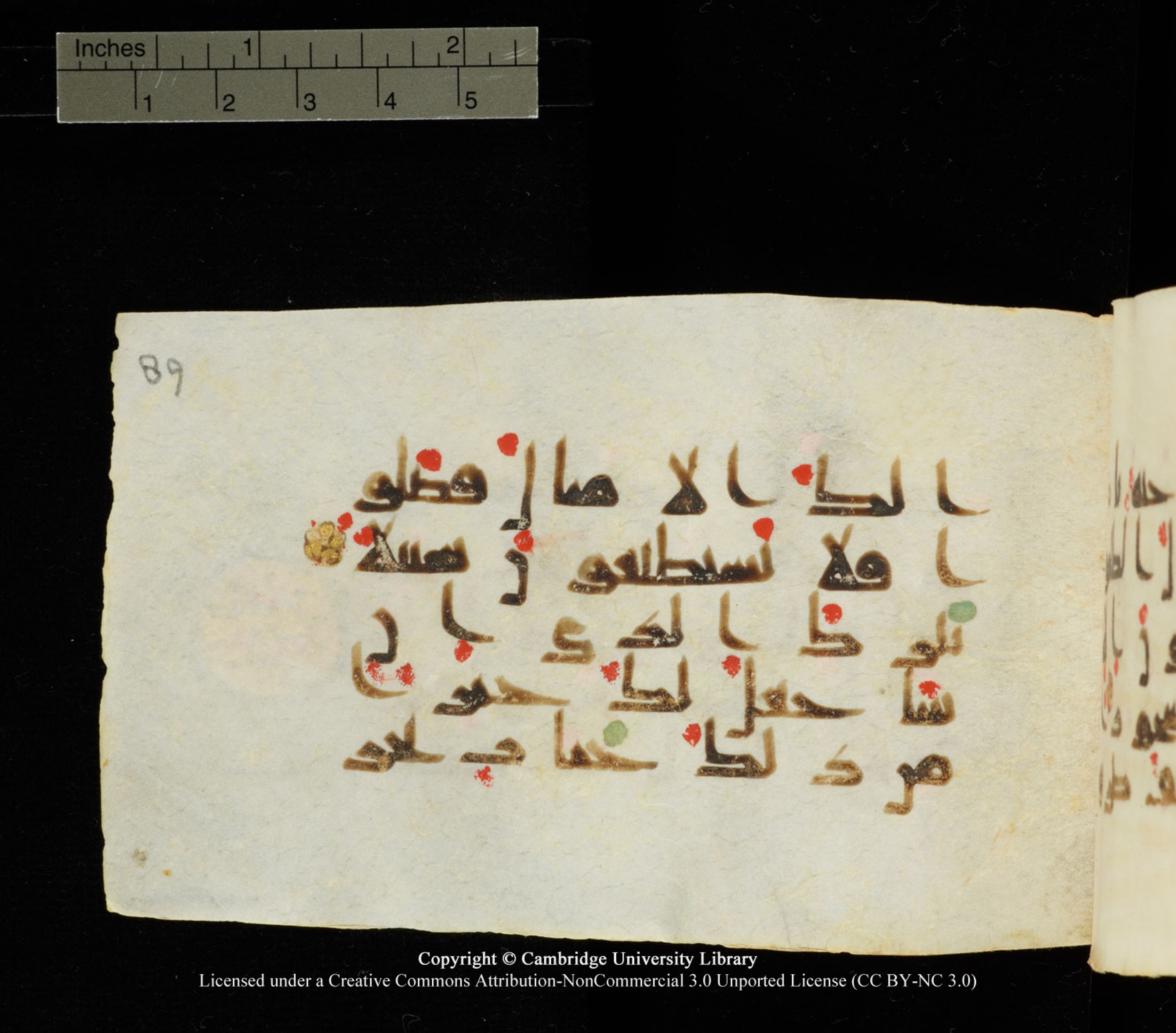 Cambridge University Library MS Add.1138 (Scan 1), in kūfī D.Va script, showing Surah 25:10 from 9th to 10th Century AD found in Sinai Peninsula, currently housed at Cambridge University Library, Cambridge