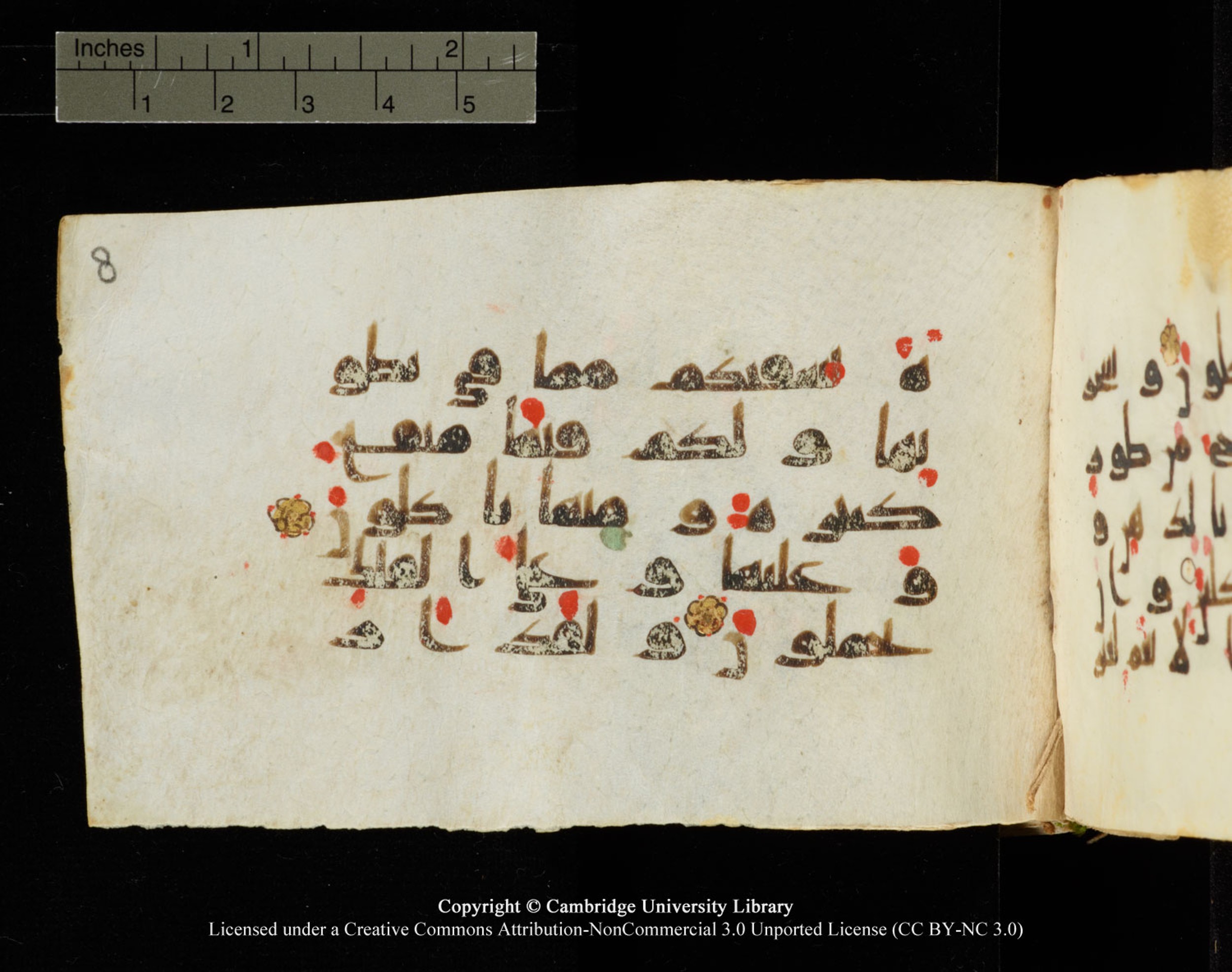 Cambridge University Library MS Add.1138 (Scan 2), in kūfī D.Va script, showing Surah 23:21 from 9th to 10th Century AD found in Sinai Peninsula, currently housed at Cambridge University Library, Cambridge