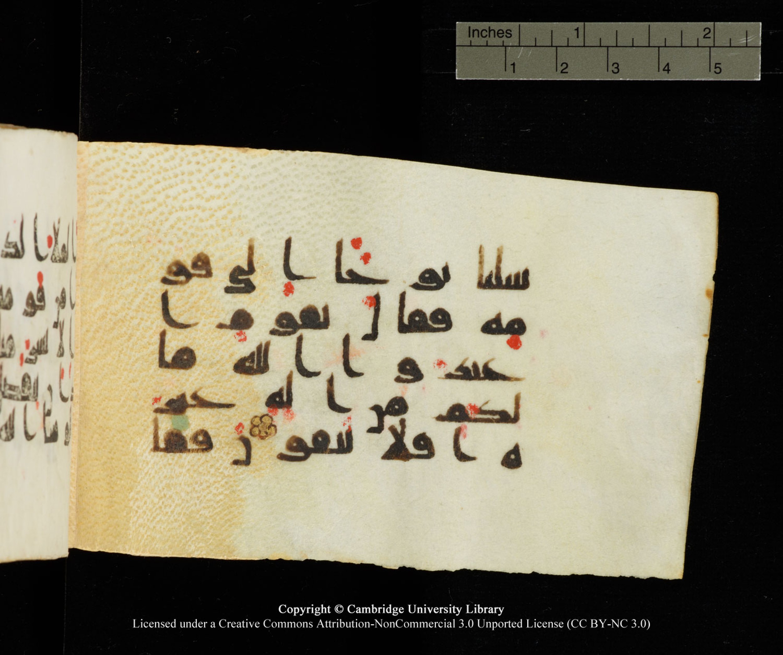 Cambridge University Library MS Add.1138 (Scan 1), in kūfī D.Va script, showing Surah 23:24 from 9th to 10th Century AD found in Sinai Peninsula, currently housed at Cambridge University Library, Cambridge