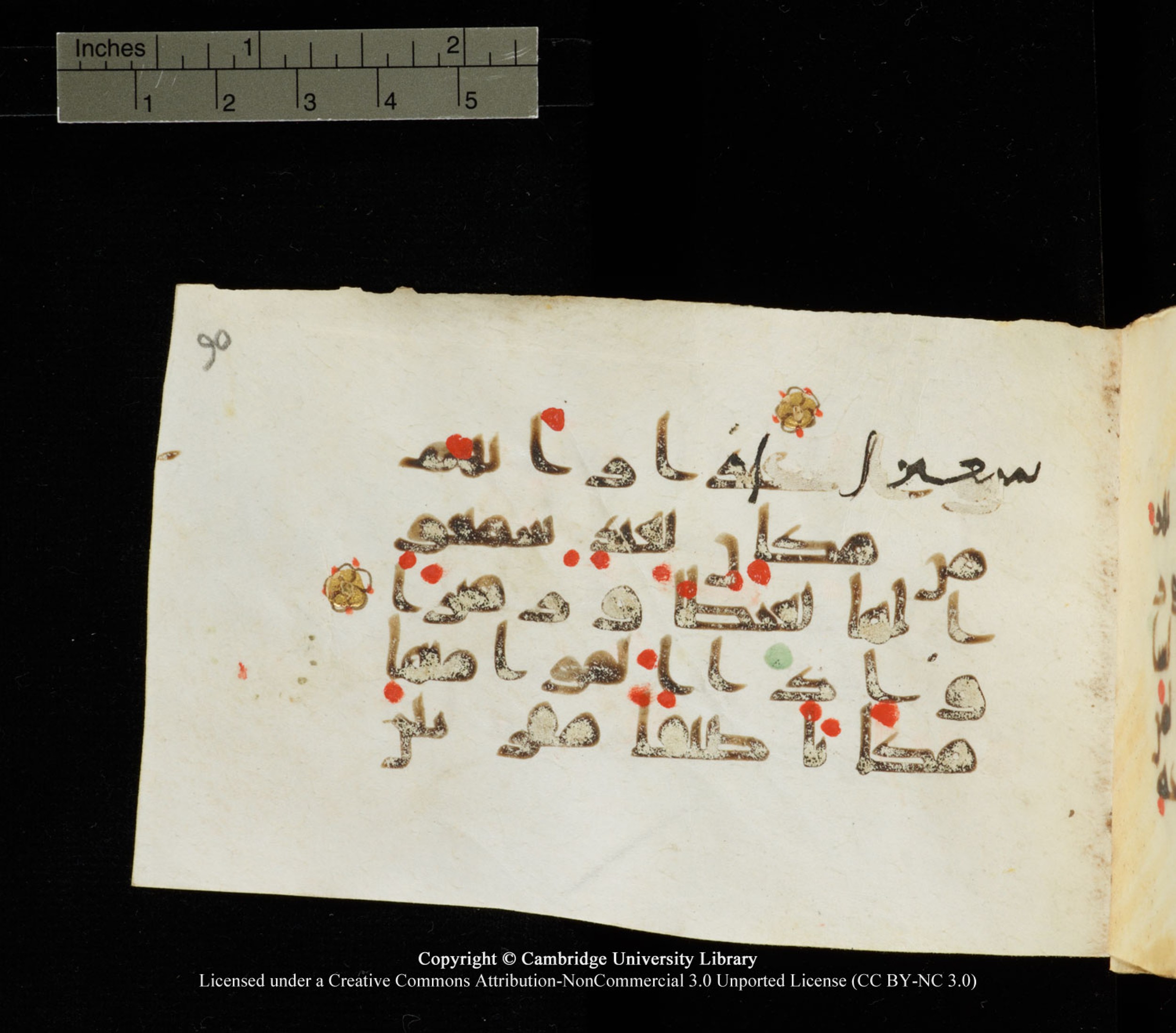 Cambridge University Library MS Add.1138 (Scan 1), in kūfī D.Va script, showing Surah 25:13 from 9th to 10th Century AD found in Sinai Peninsula, currently housed at Cambridge University Library, Cambridge