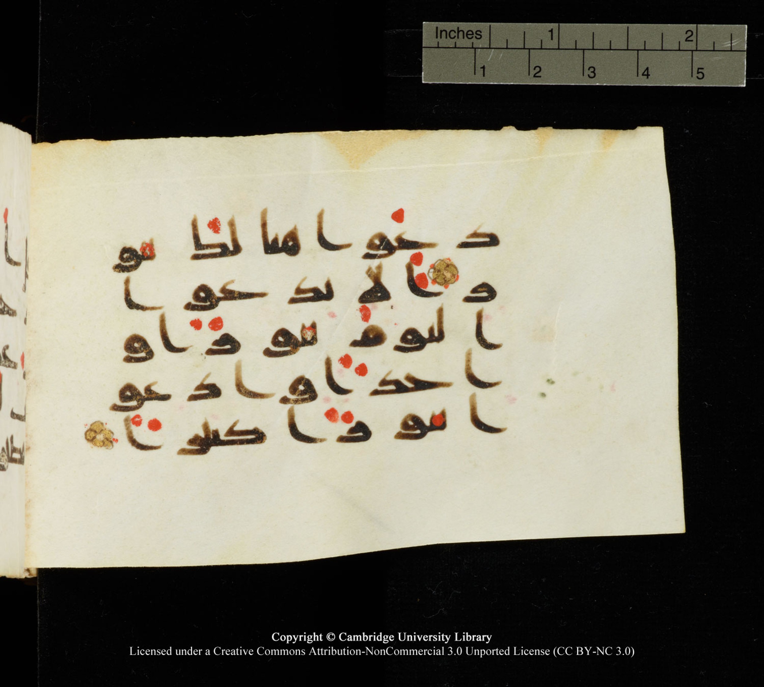 Cambridge University Library MS Add.1138 (Scan 2), in kūfī D.Va script, showing Surah 25:13 from 9th to 10th Century AD found in Sinai Peninsula, currently housed at Cambridge University Library, Cambridge