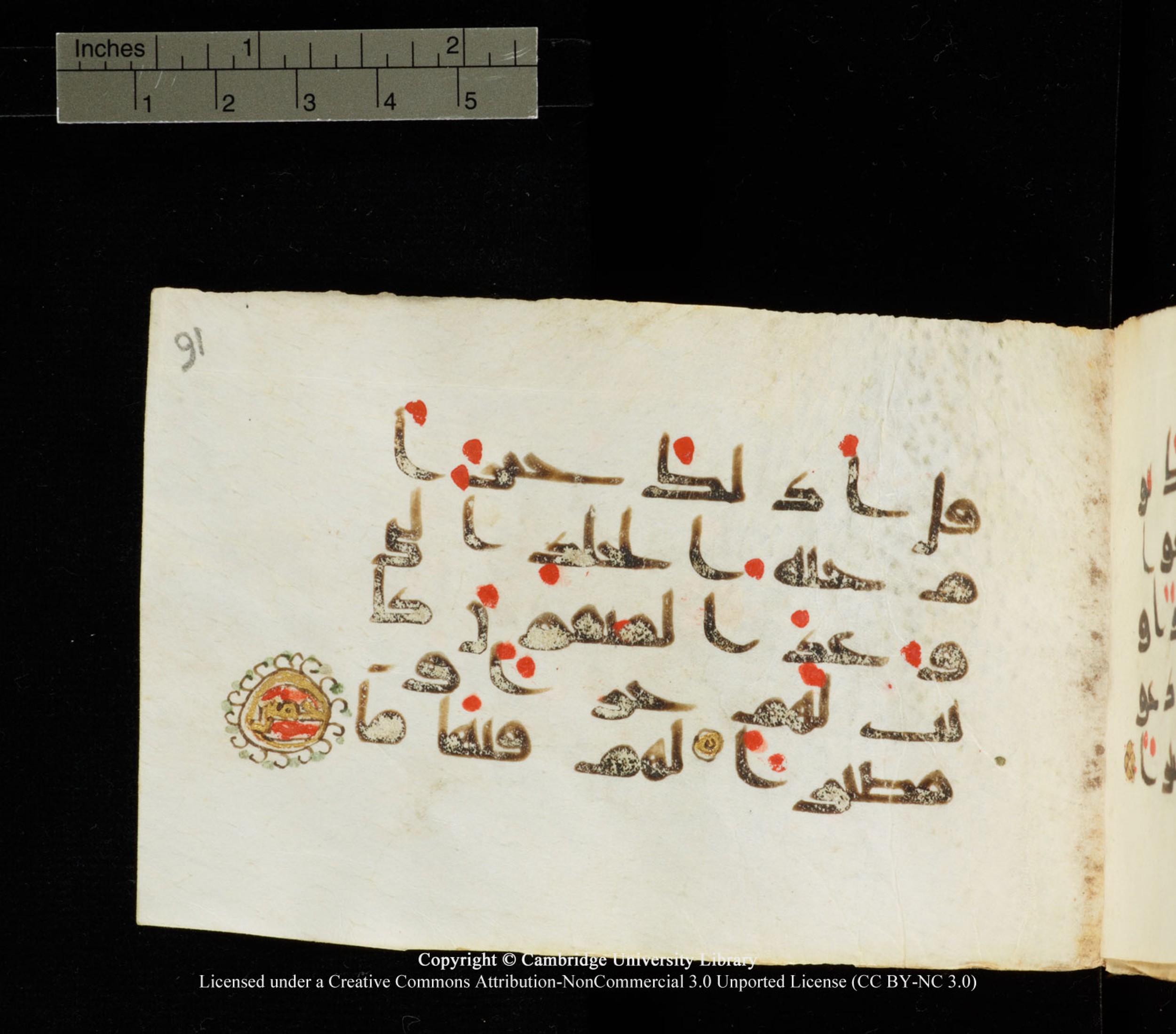 Cambridge University Library MS Add.1138 (Scan 1), in kūfī D.Va script, showing Surah 25:16 from 9th to 10th Century AD found in Sinai Peninsula, currently housed at Cambridge University Library, Cambridge