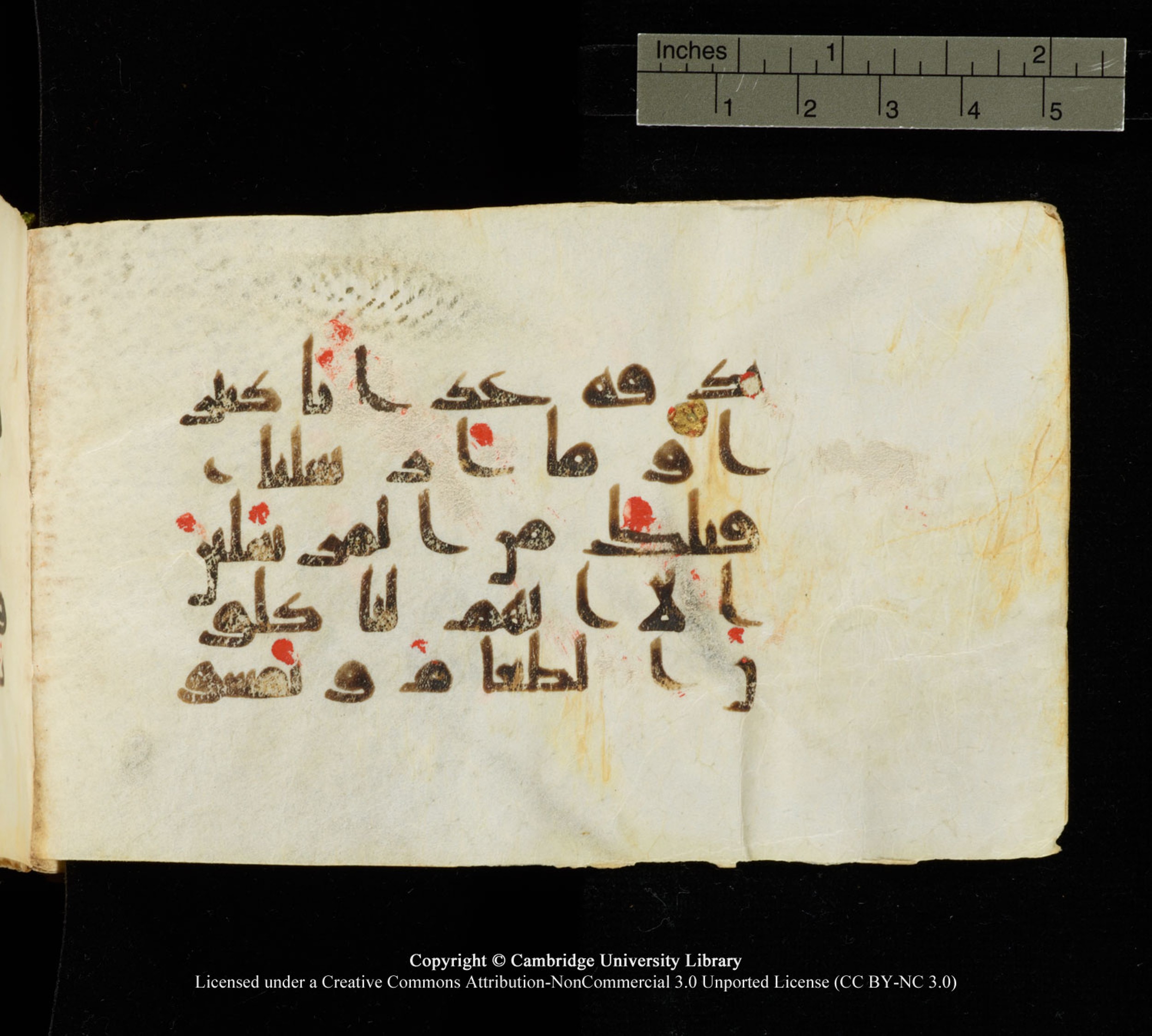 Cambridge University Library MS Add.1138 (Scan 2), in kūfī D.Va script, showing Surah 25:19 from 9th to 10th Century AD found in Sinai Peninsula, currently housed at Cambridge University Library, Cambridge