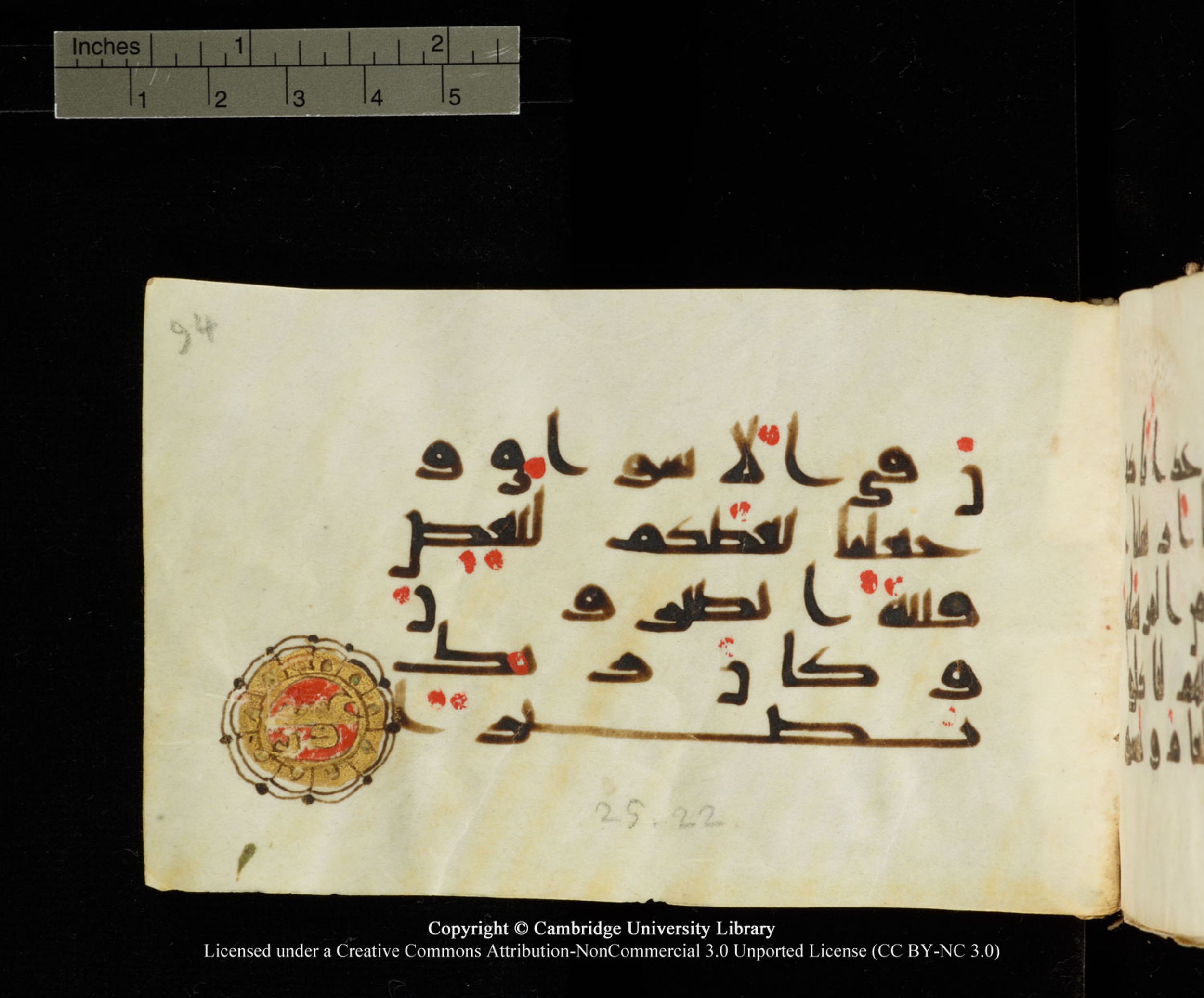 Cambridge University Library MS Add.1138 (Scan 2), in kūfī D.Va script, showing Surah 25:20 from 9th to 10th Century AD found in Sinai Peninsula, currently housed at Cambridge University Library, Cambridge