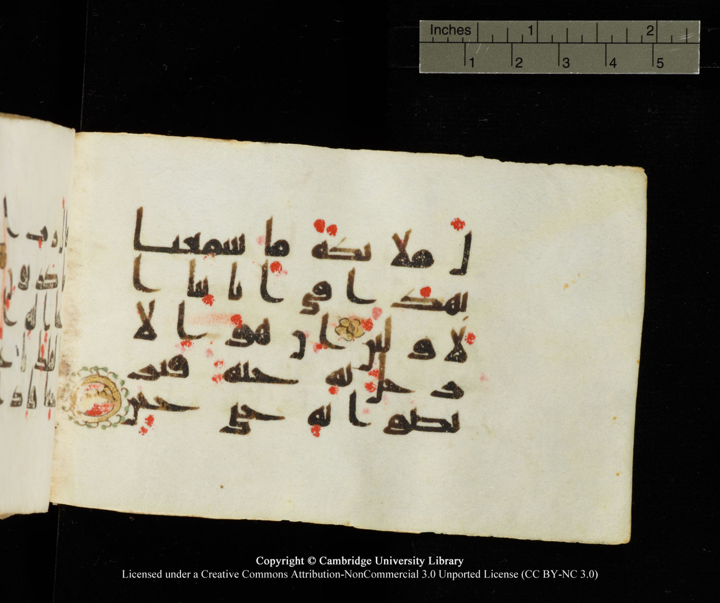 Cambridge University Library MS Add.1138 (Scan 3), in kūfī D.Va script, showing Surah 23:24 from 9th to 10th Century AD found in Sinai Peninsula, currently housed at Cambridge University Library, Cambridge