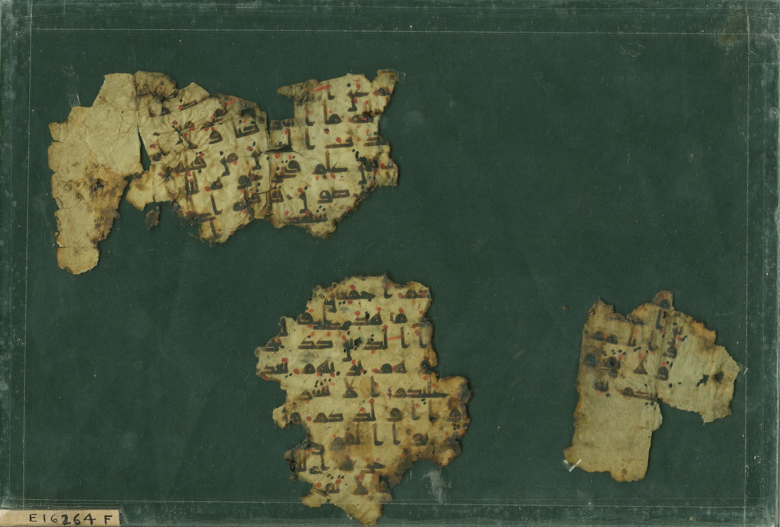 Pennsylvania University Museum E 16264 F, in kūfī B.II script, showing Surah 6:147 from 8th Century AD found in al-Fusṭāṭ (Old Cairo), Egypt, currently housed at Pennsylvania University Museum, Philadelphia, Pennsylvania