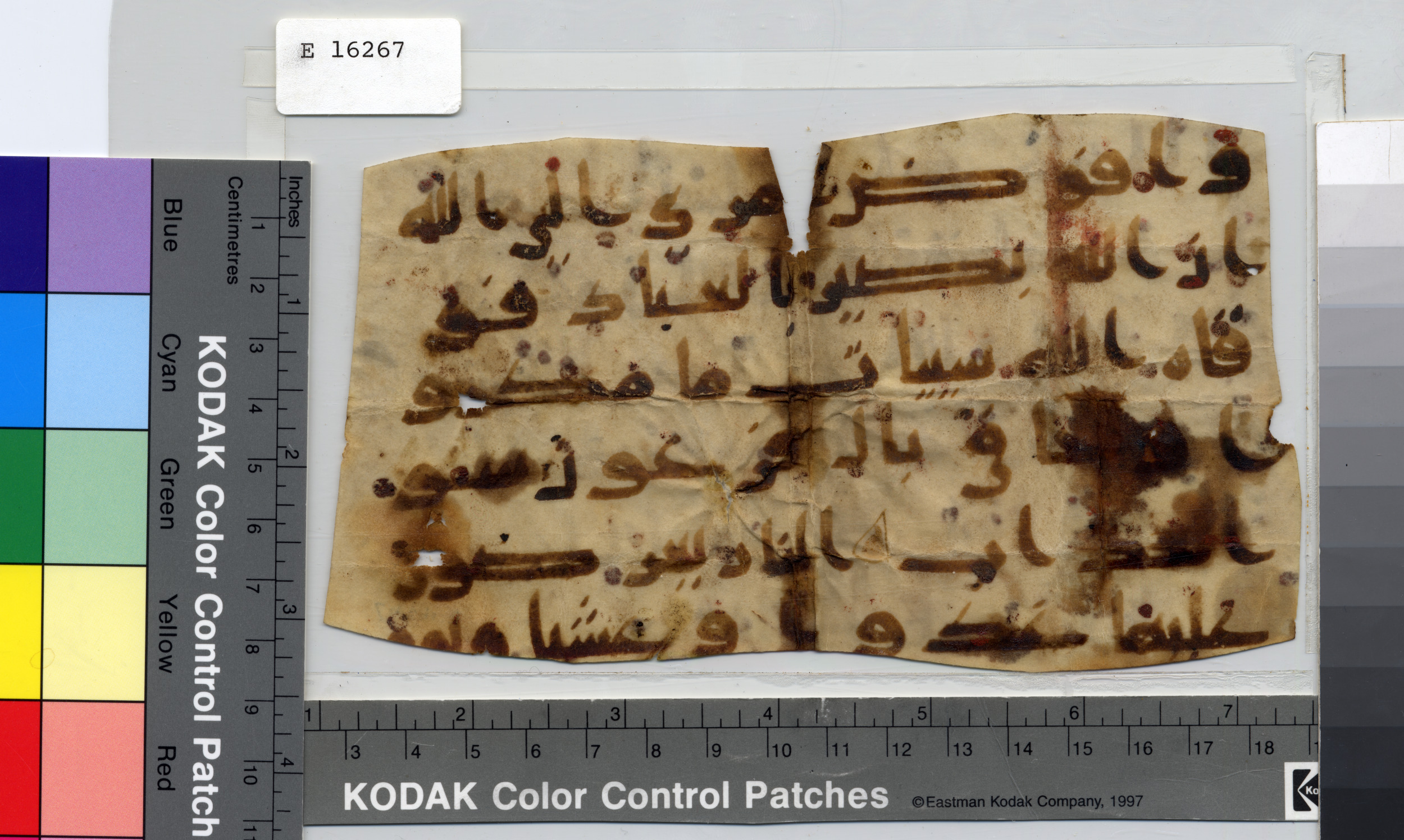 Pennsylvania University Museum E 16267, in kūfī D.I script, showing Surah 40:44 from Mid 8th to Late 9th Century AD found in Fustat (Old Cairo), Egypt, currently housed at Pennsylvania University Museum, Philadelphia, Pennsylvania