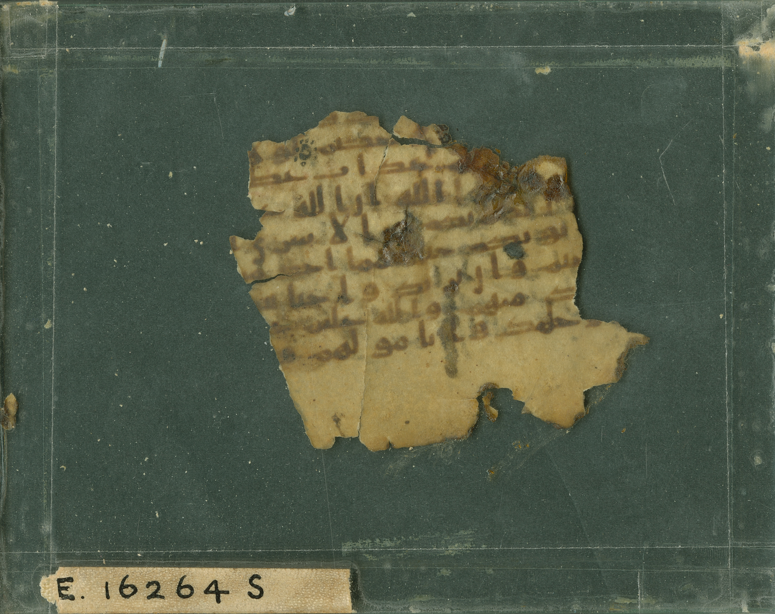 Pennsylvania University Museum E 16264 S, in kūfī B.II script, showing Surah 8:71 from Mid-7th to Mid-8th Century AD found in Fustat (Old Cairo), Egypt, currently housed at Pennsylvania University Museum, Philadelphia, Pennsylvania