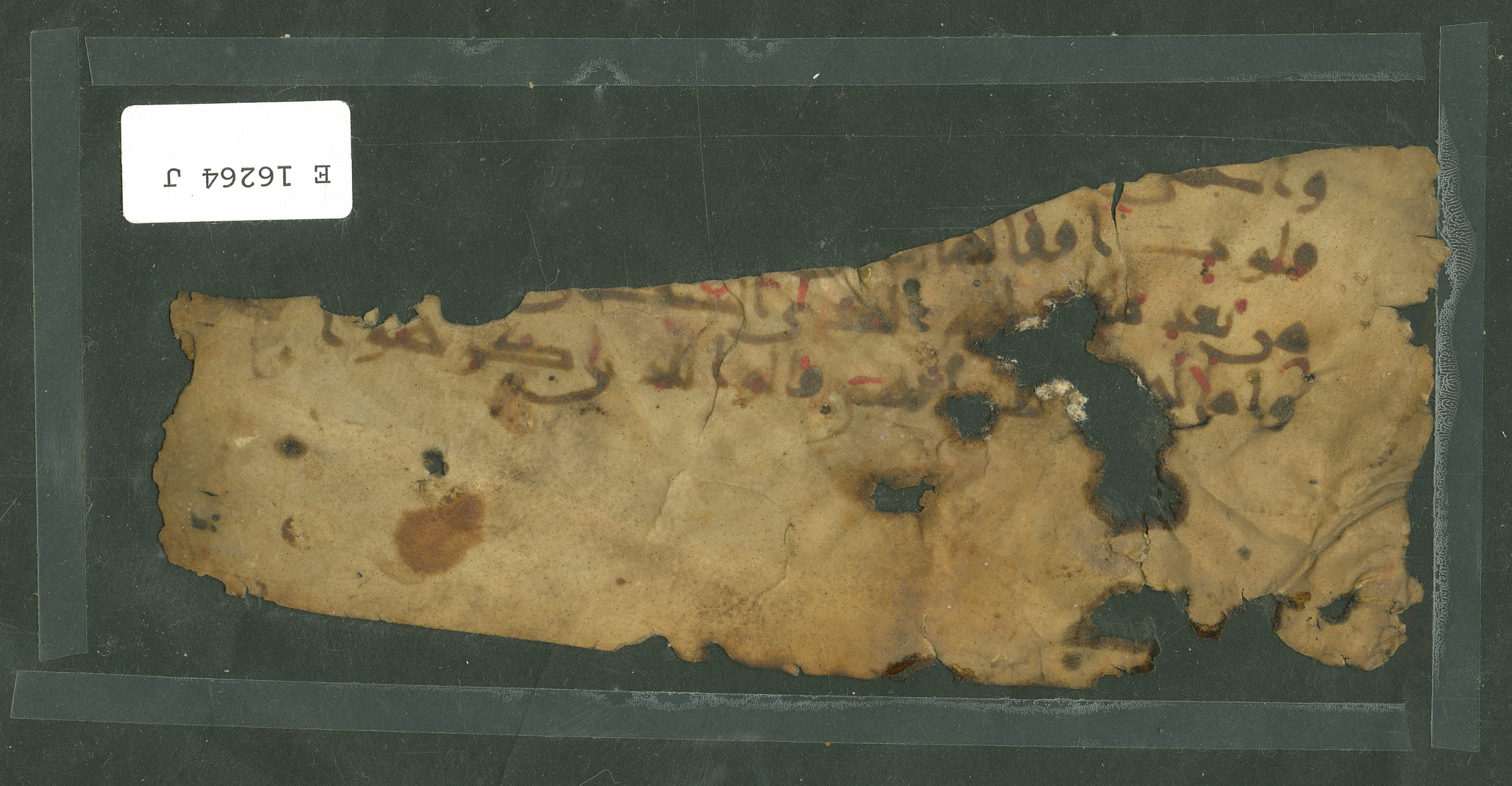 Pennsylvania University Museum E 16264 J, in Old heavy Naskhī with Kūfic features script, showing Surah 47:23 from Mid-9th to Late 10th Century AD found in Fustat (Old Cairo), Egypt, currently housed at Pennsylvania University Museum, Philadelphia, Pennsylvania