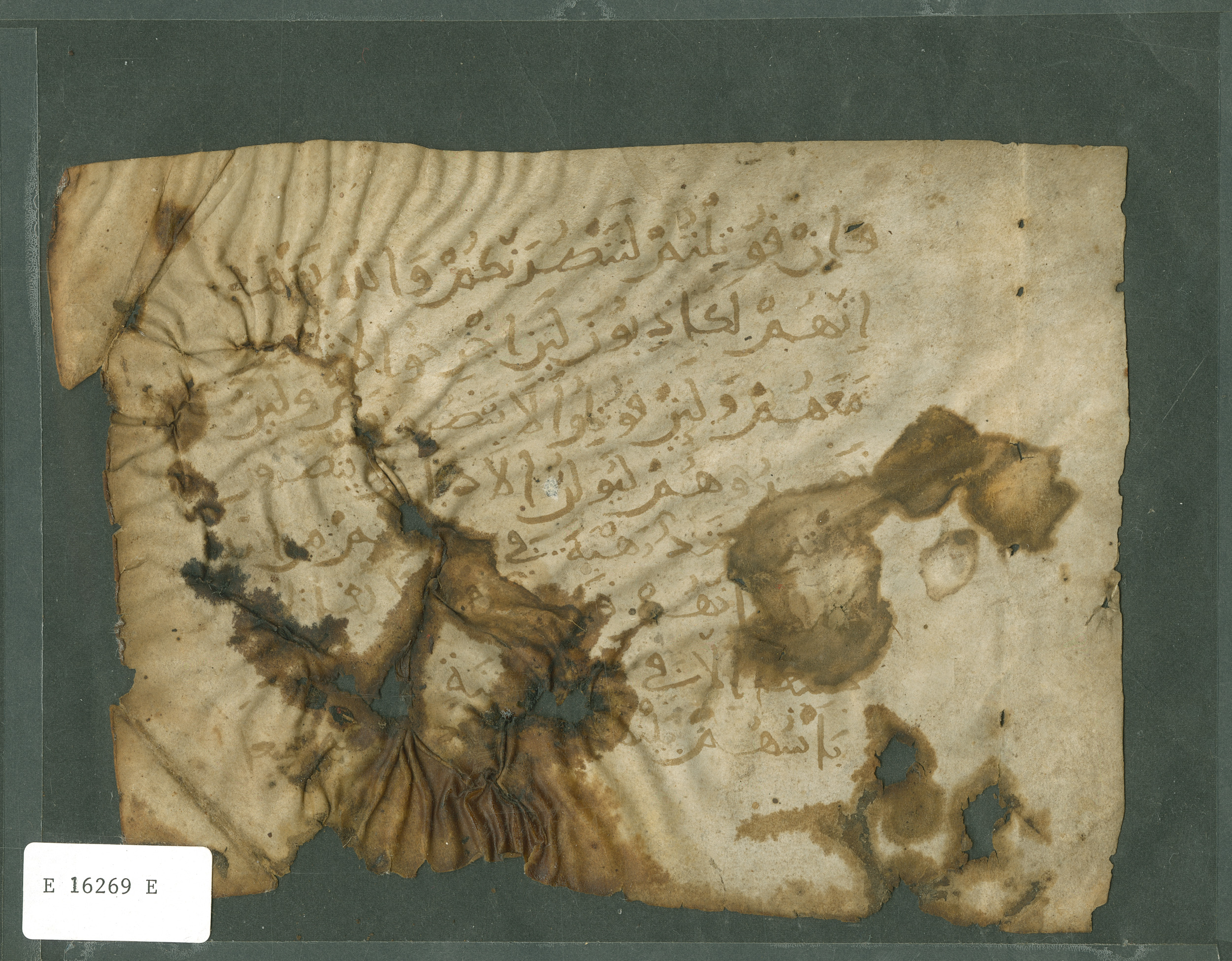 Pennsylvania University Museum E 16269 E, in Maghribī (Ifrīqī bookhand) script, showing Surah 59:13 from 11th Century AD found in Great Mosque of Kairouan (attributed), North Africa, currently housed at Pennsylvania University Museum, Philadelphia, Pennsylvania