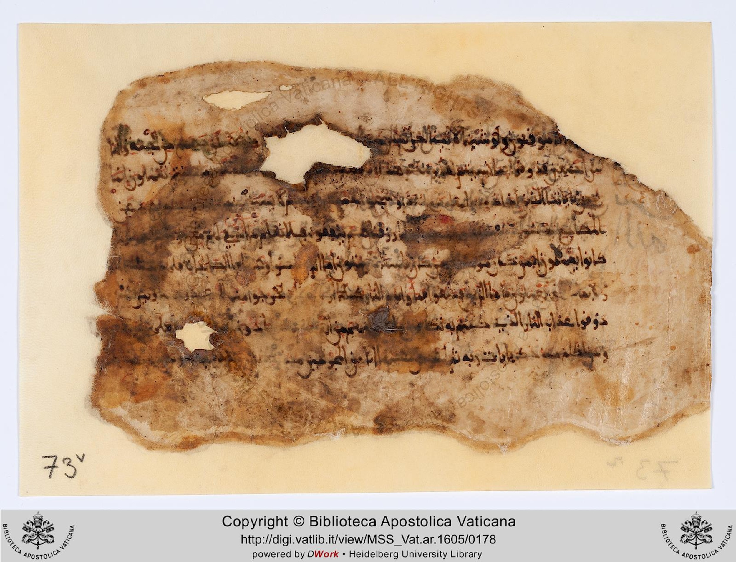 Pennsylvania University Museum E 16266, in Maghribī script, showing Surah 32:18 from 10th to 14th Century AD found in Unknown, currently housed at Pennsylvania University Museum, Philadelphia