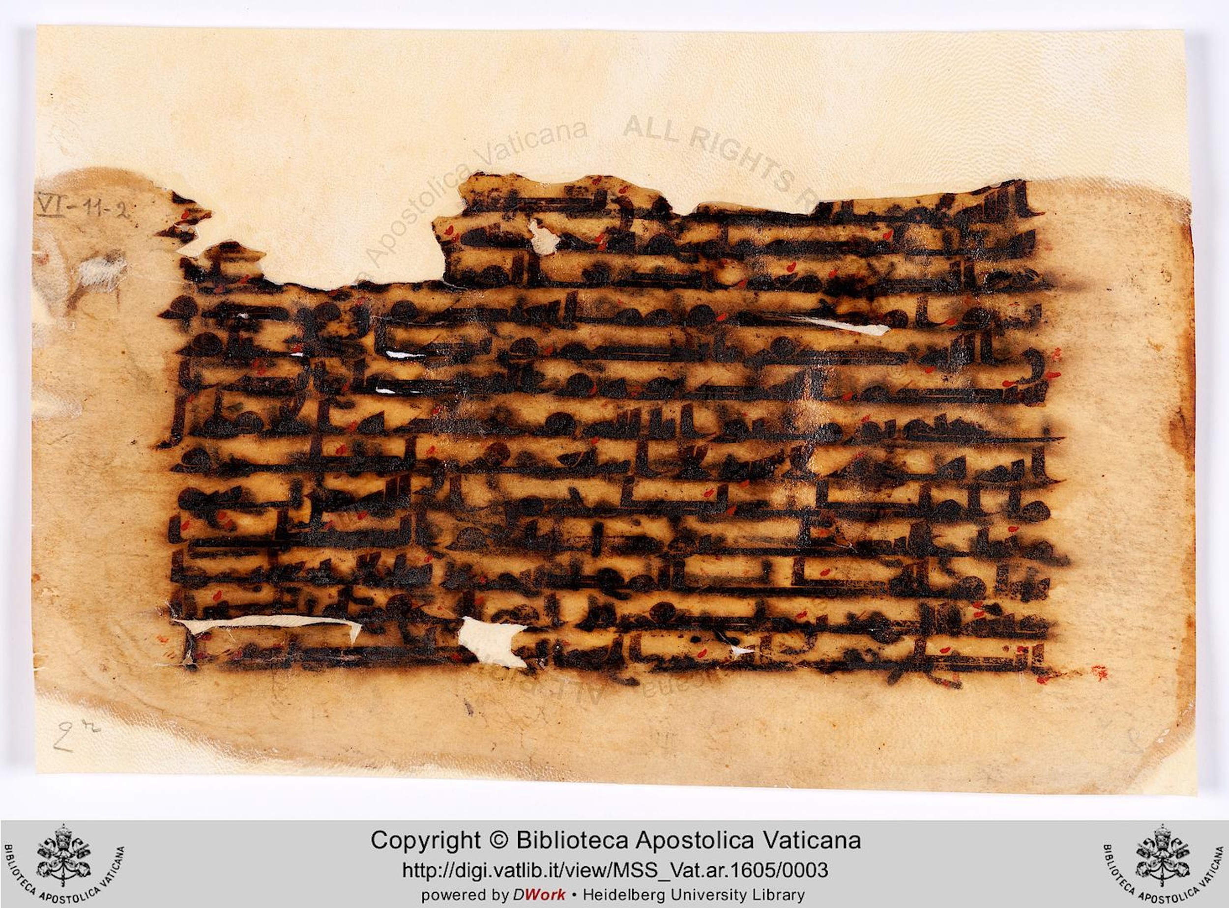 Rome, Biblioteca Apostolica Vaticana, Vat. Ar. 1605 (2), in kūfī F.I script, showing Surah 60:6 from 8th to 9th Century AD found in Unknown, currently housed at Biblioteca Apostolica Vaticana, Rome